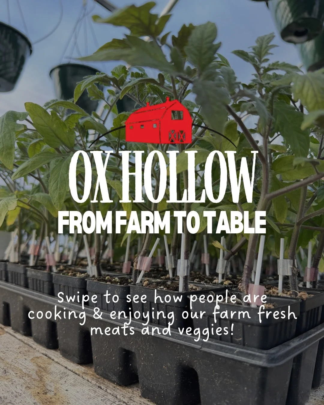 The only thing that&rsquo;s better than farm to table meals is when you get to share them with family and friends ❤️

Swipe to see what delicious concoctions people have made with our meat and produce!