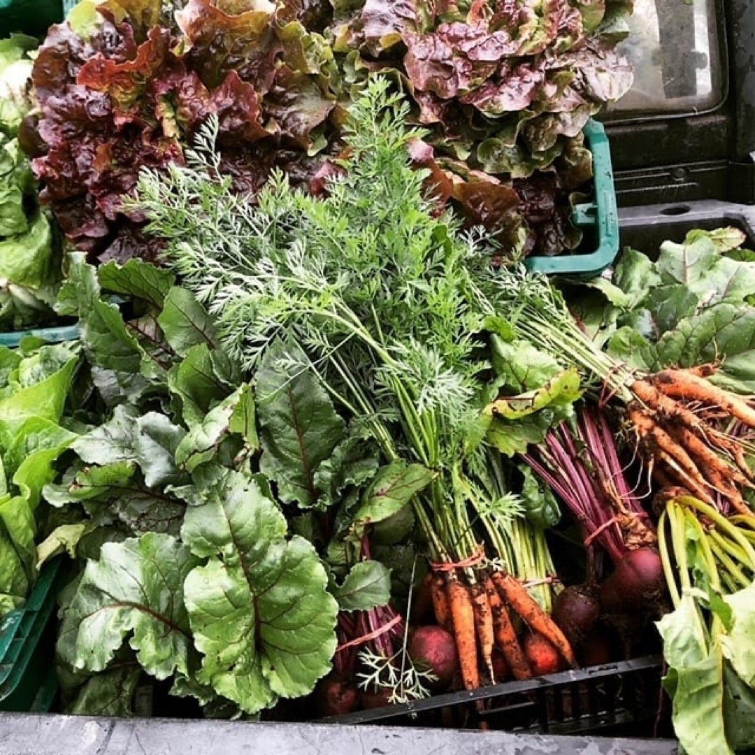 Fresh bundles of carrots with green leaves and bunches of leafy greens, including lettuce and Swiss chard, displayed on a market stand.