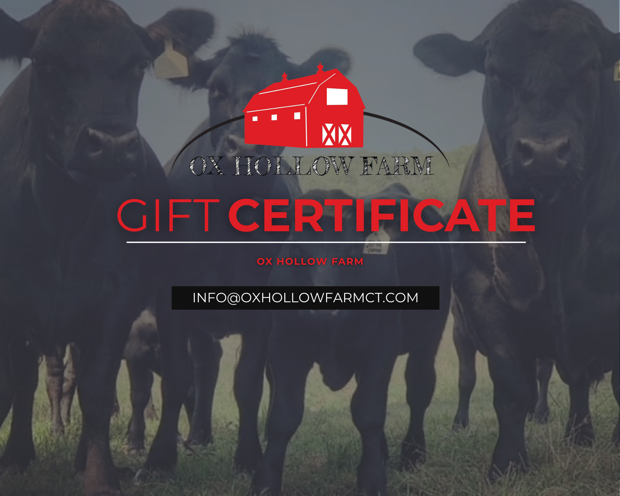 Ox Hollow Gift Certificate