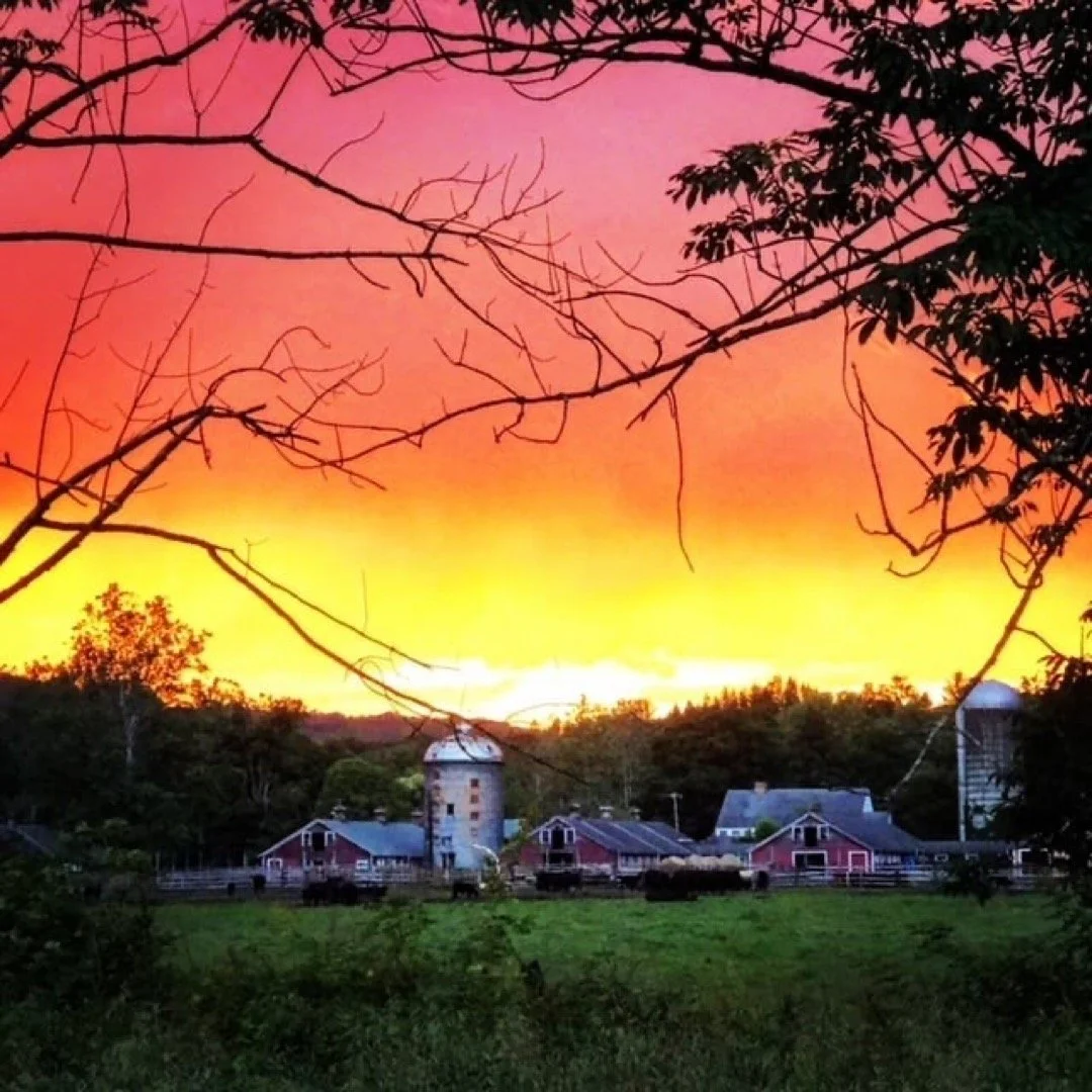 Sunset over a farm with a red barn, grain silos, and cows in a green pasture, with orange, pink, and purple sky.