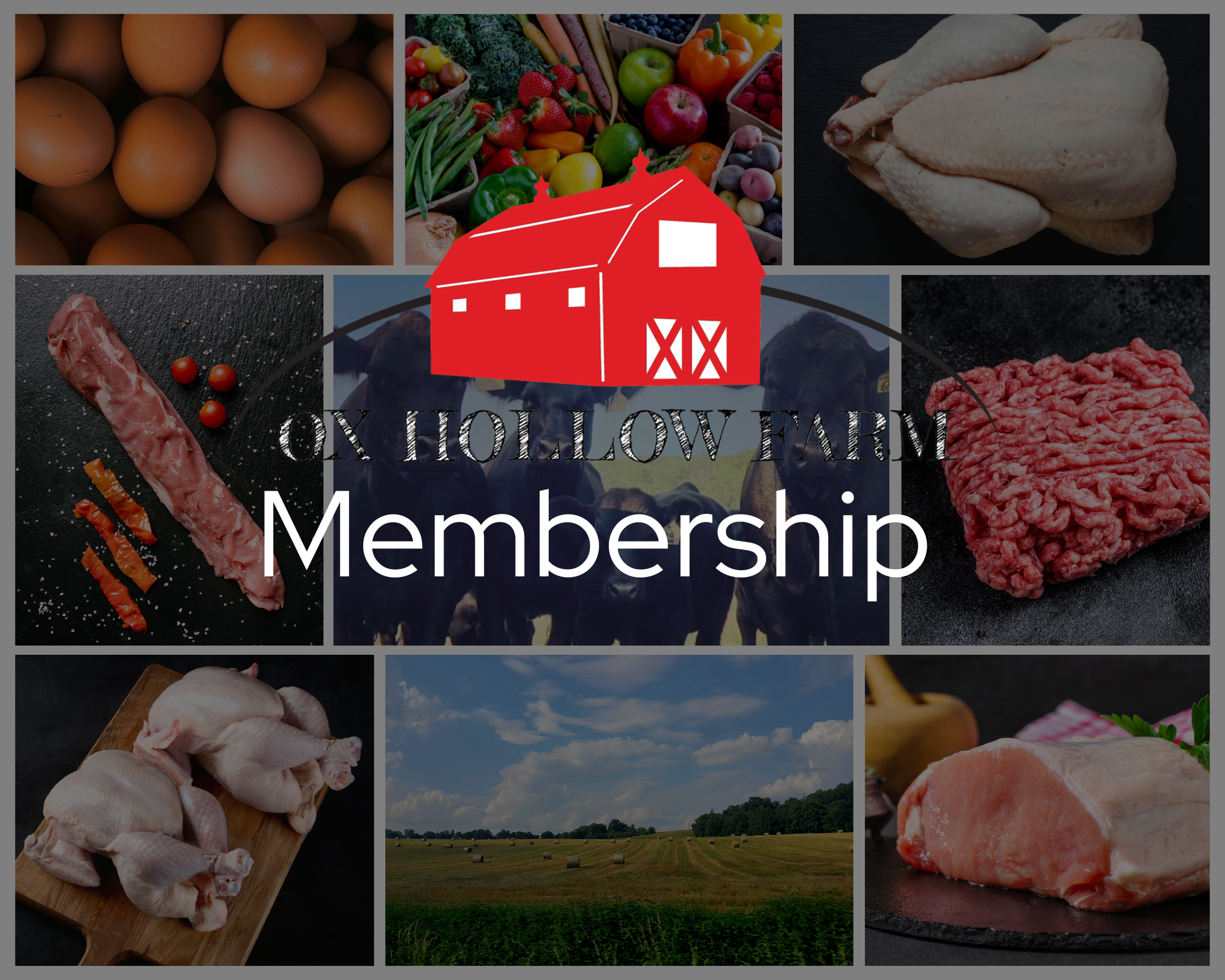 Ox Hollow Farm Membership Program
