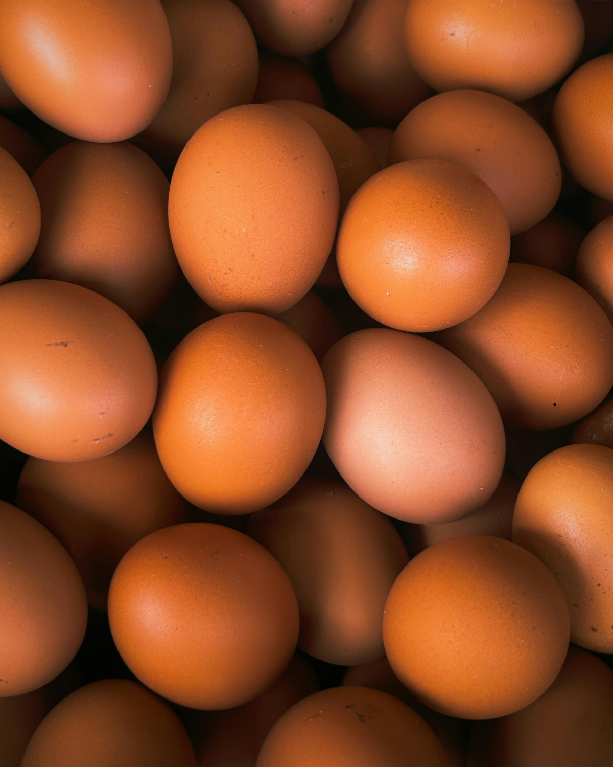 Untitled (8 x 10 in).png