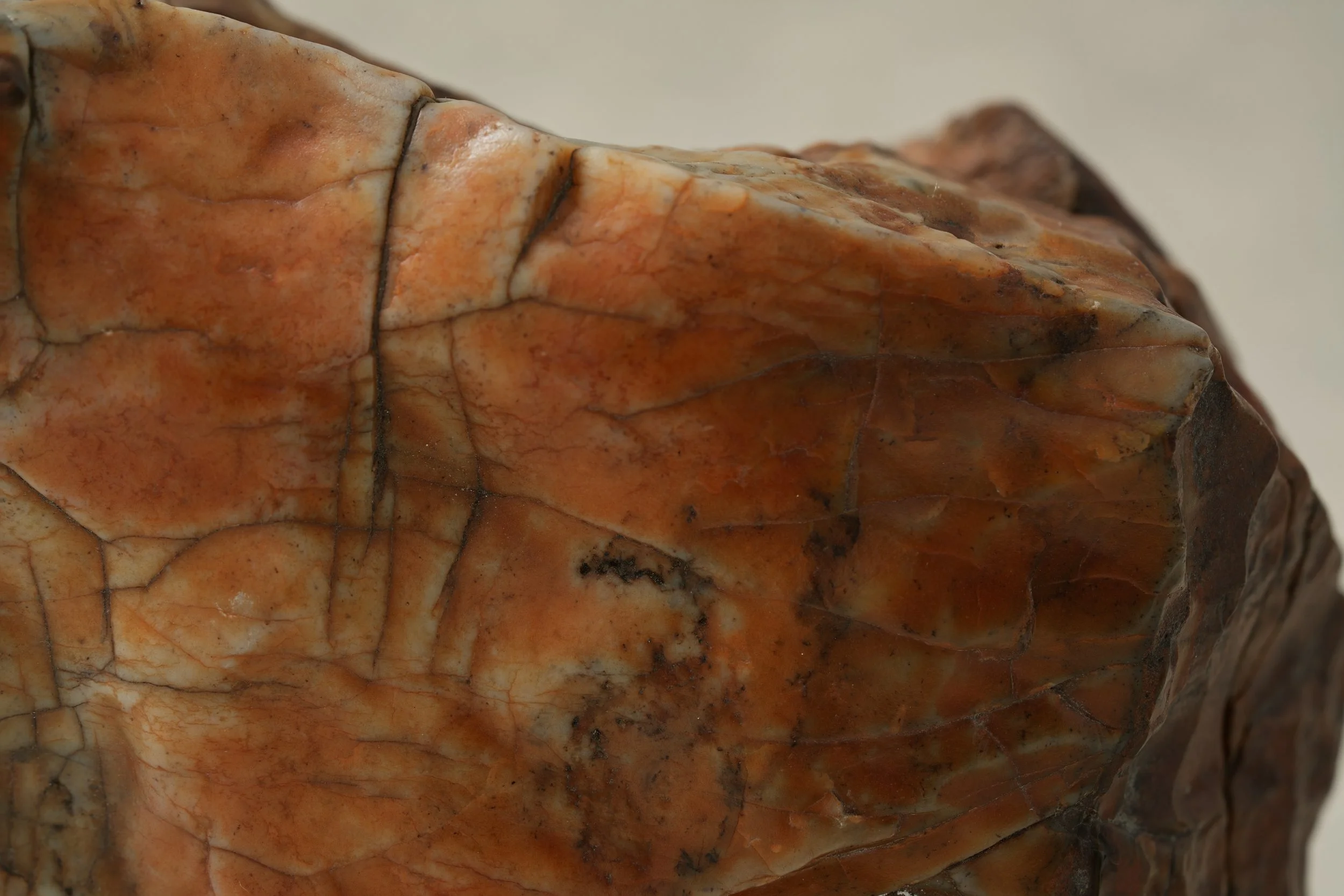 Close-up of a multicolored, textured stone surface with orange, brown, and beige hues and noticeable veining.