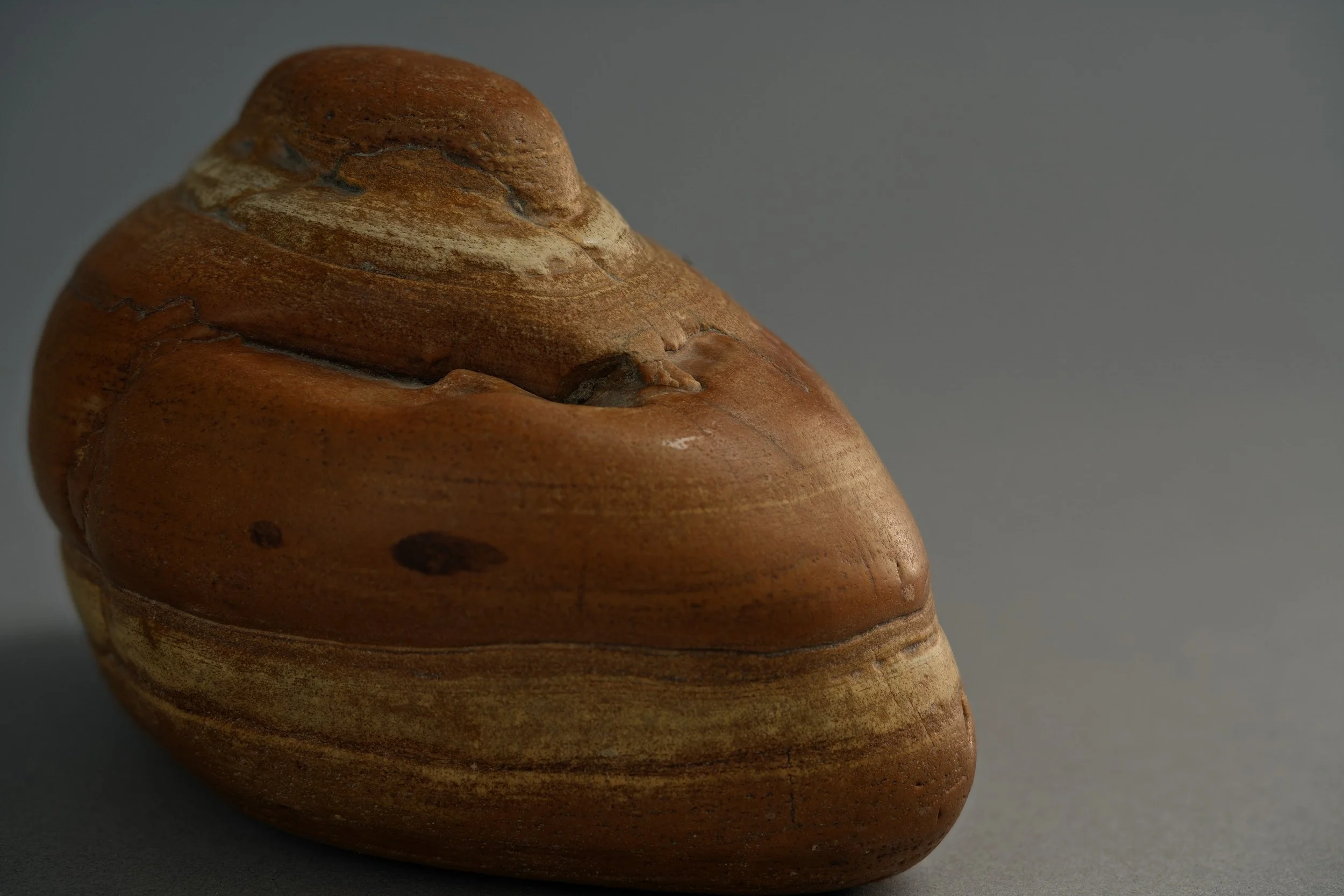Close-up of a smoothly carved, rounded wooden sculpture with a layered, spiral pattern, set against a plain gray background.