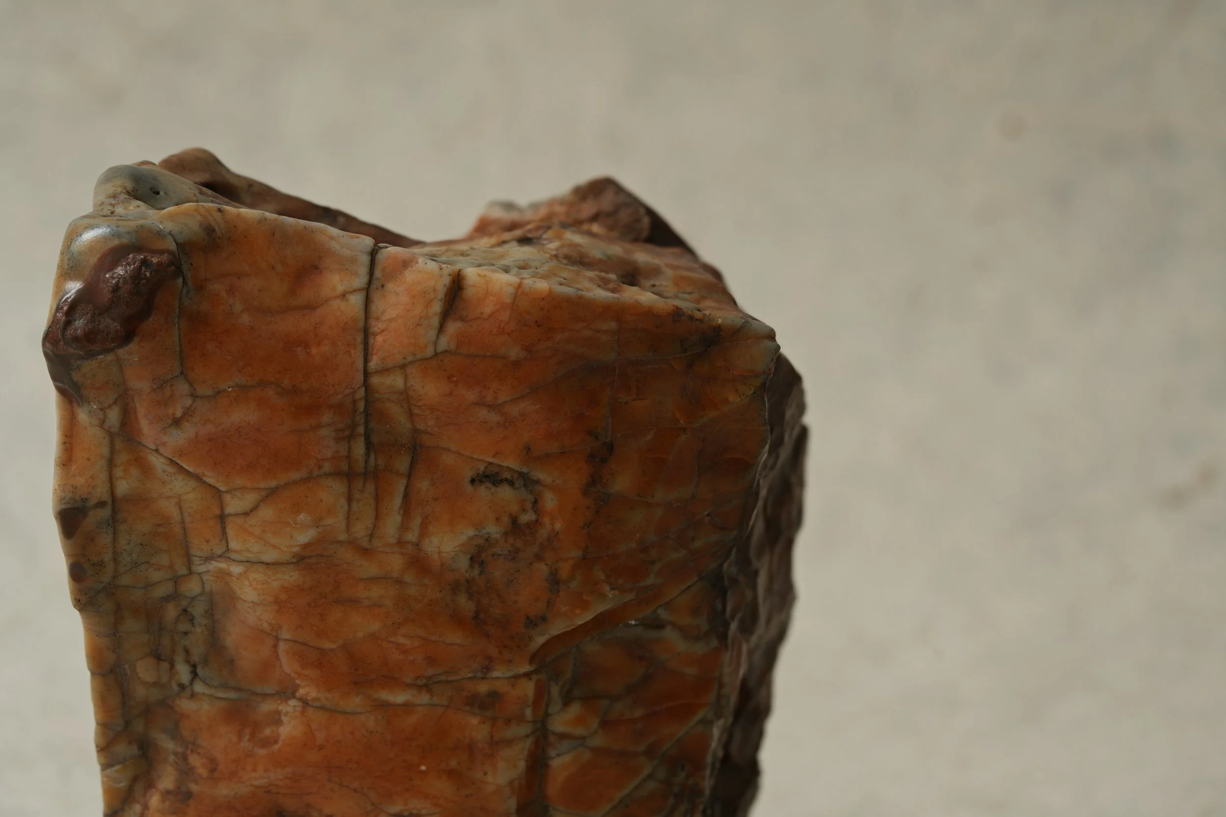 Close-up of a multicolored, polished stone with a rough, textured surface featuring shades of red, orange, brown, and gray against a plain, light background.