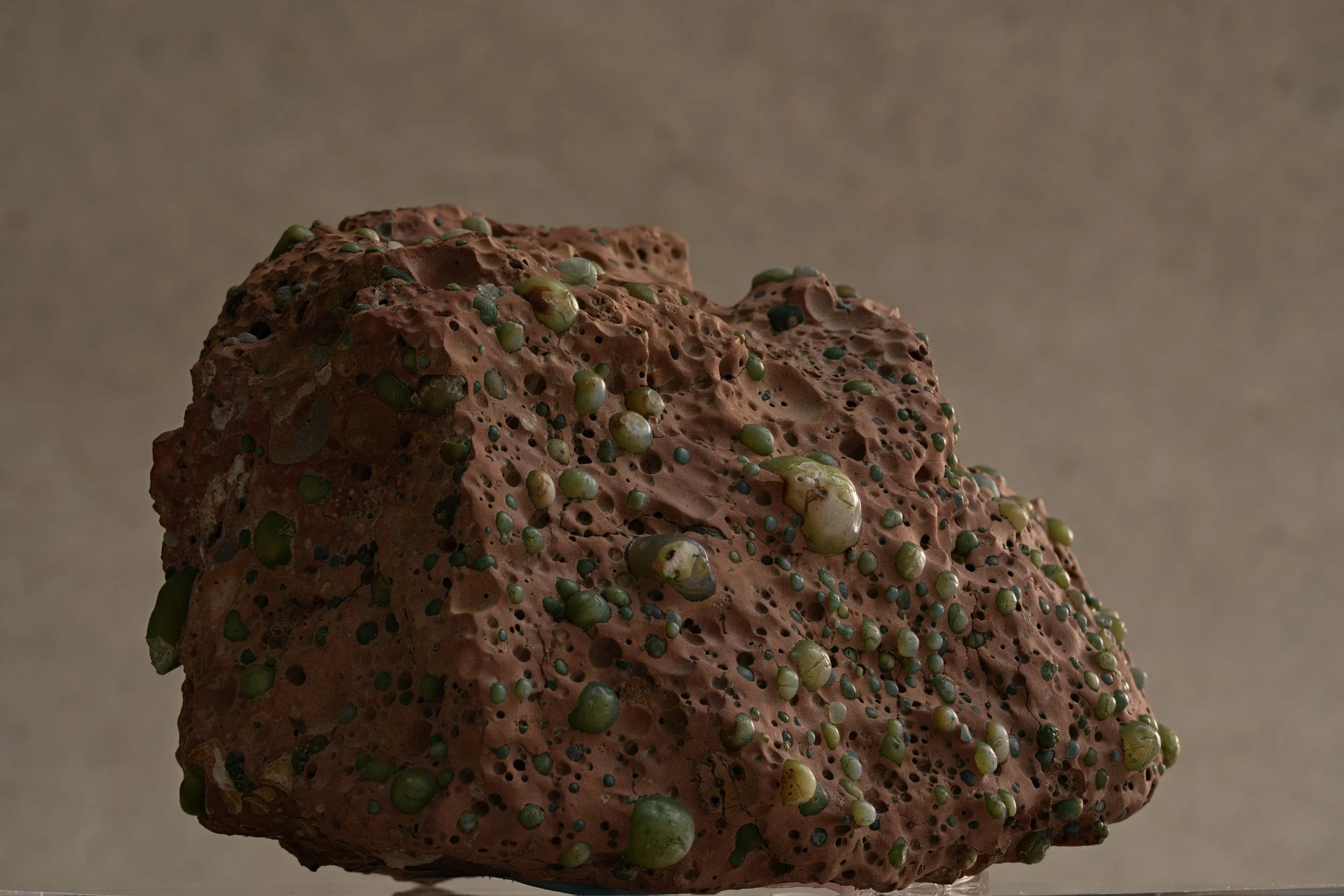 Close-up of a textured, reddish rocky surface with small greenish bumps or pebble-like formations on it.