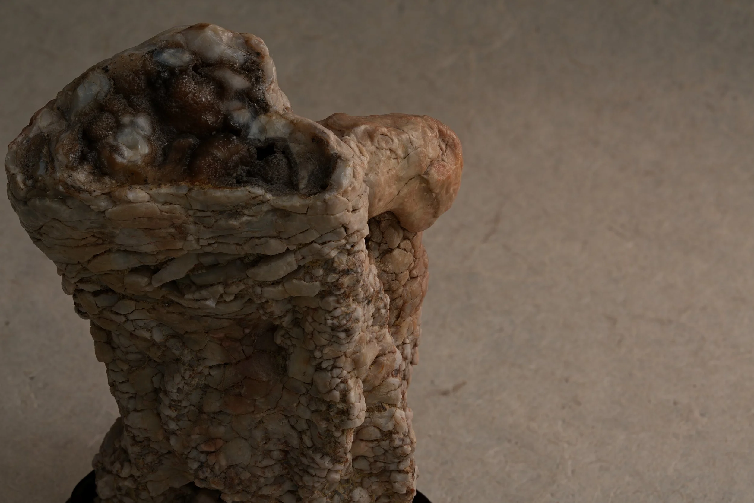 Close-up of a rock formation with textured, wrinkled surface and brownish, grayish, and white hues, reflecting on a shiny surface.