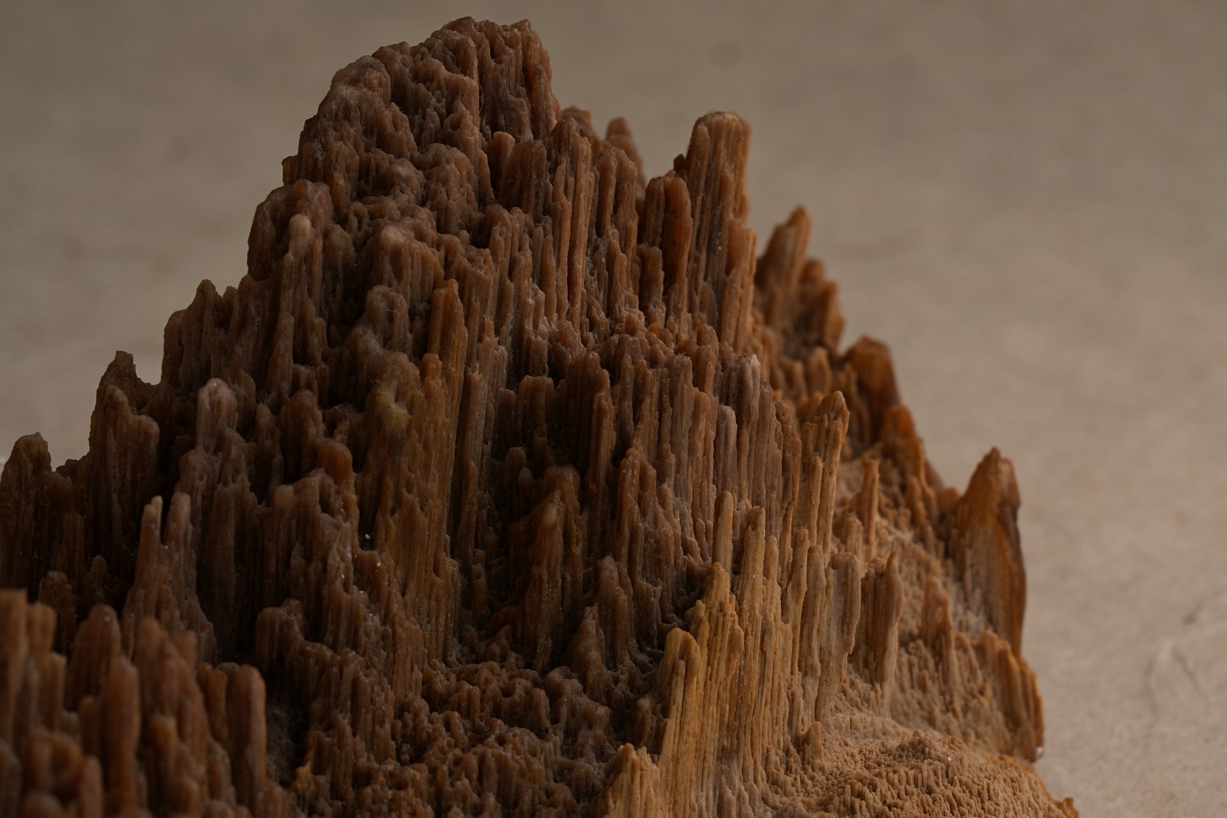 Close-up of a textured, spiky, brown mineral or rock formation with a sandy background.