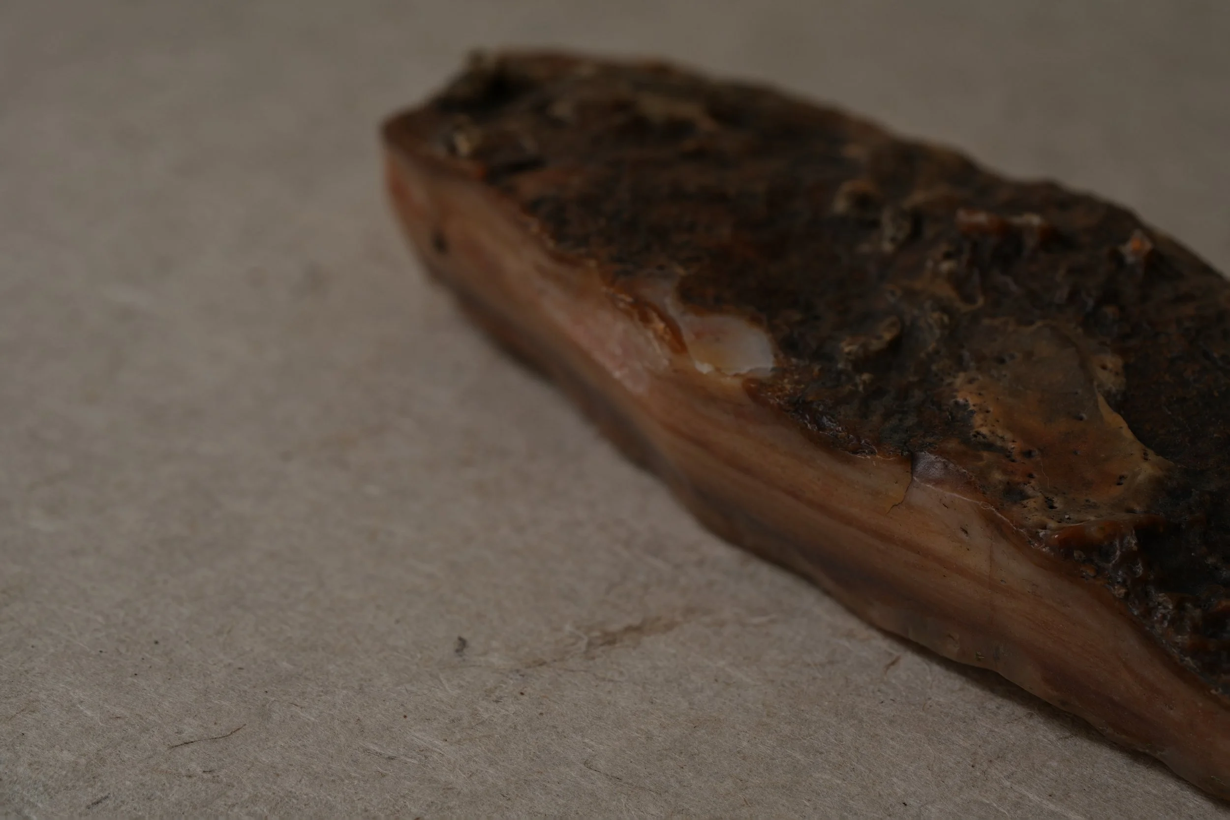 Close-up of a brown and black textured object, possibly a mineral or fossil, resting on a light-colored surface.