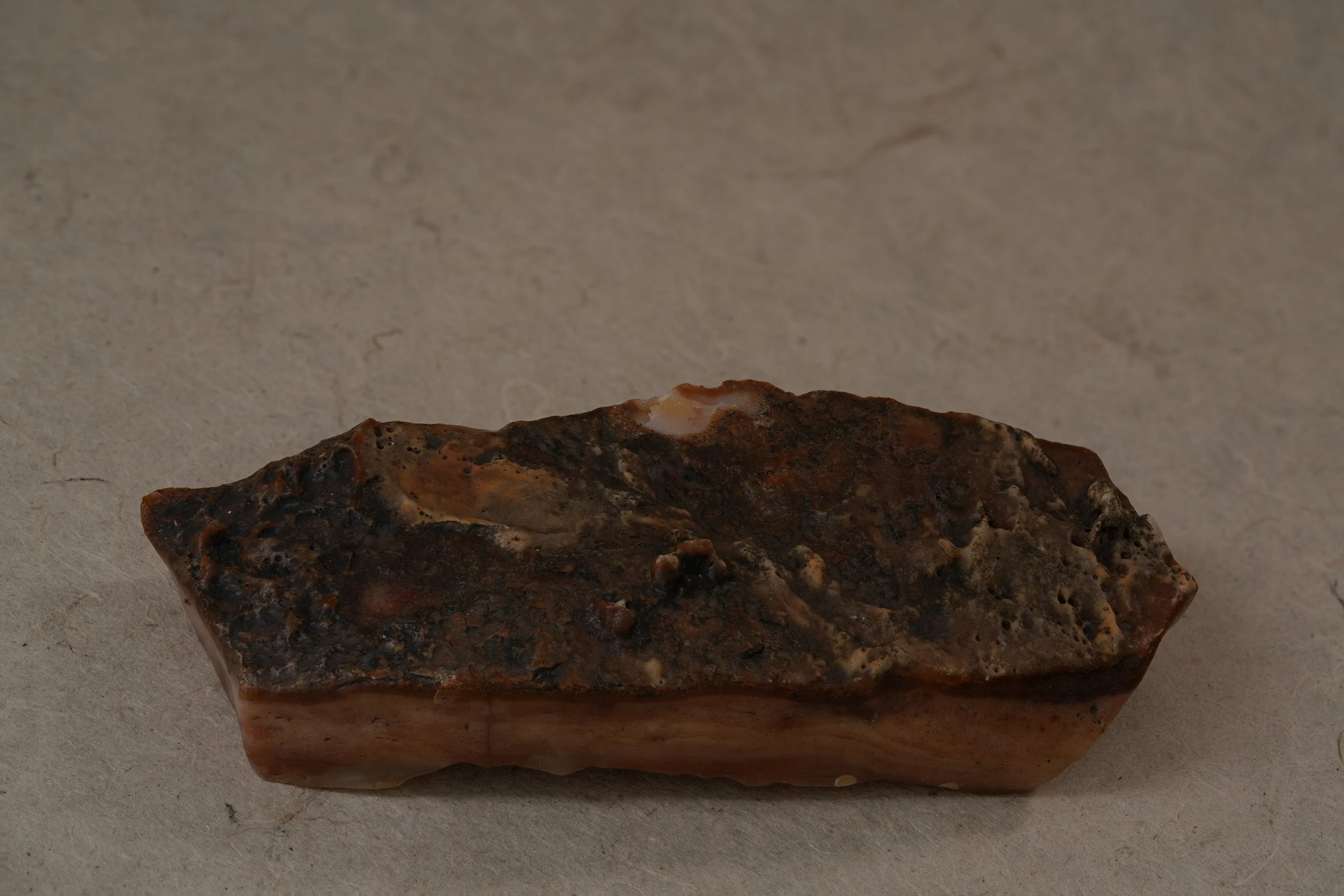 A piece of polished brown and black stone with a rough surface, placed on a plain beige background.
