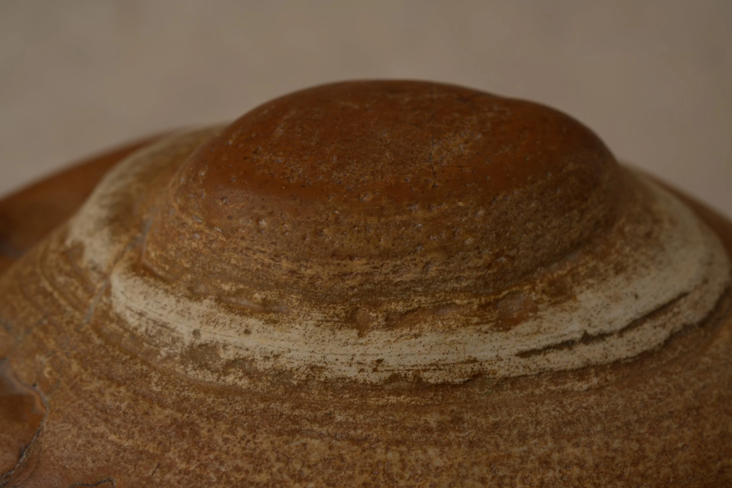 Close-up of a baked bread roll dusted with cinnamon.