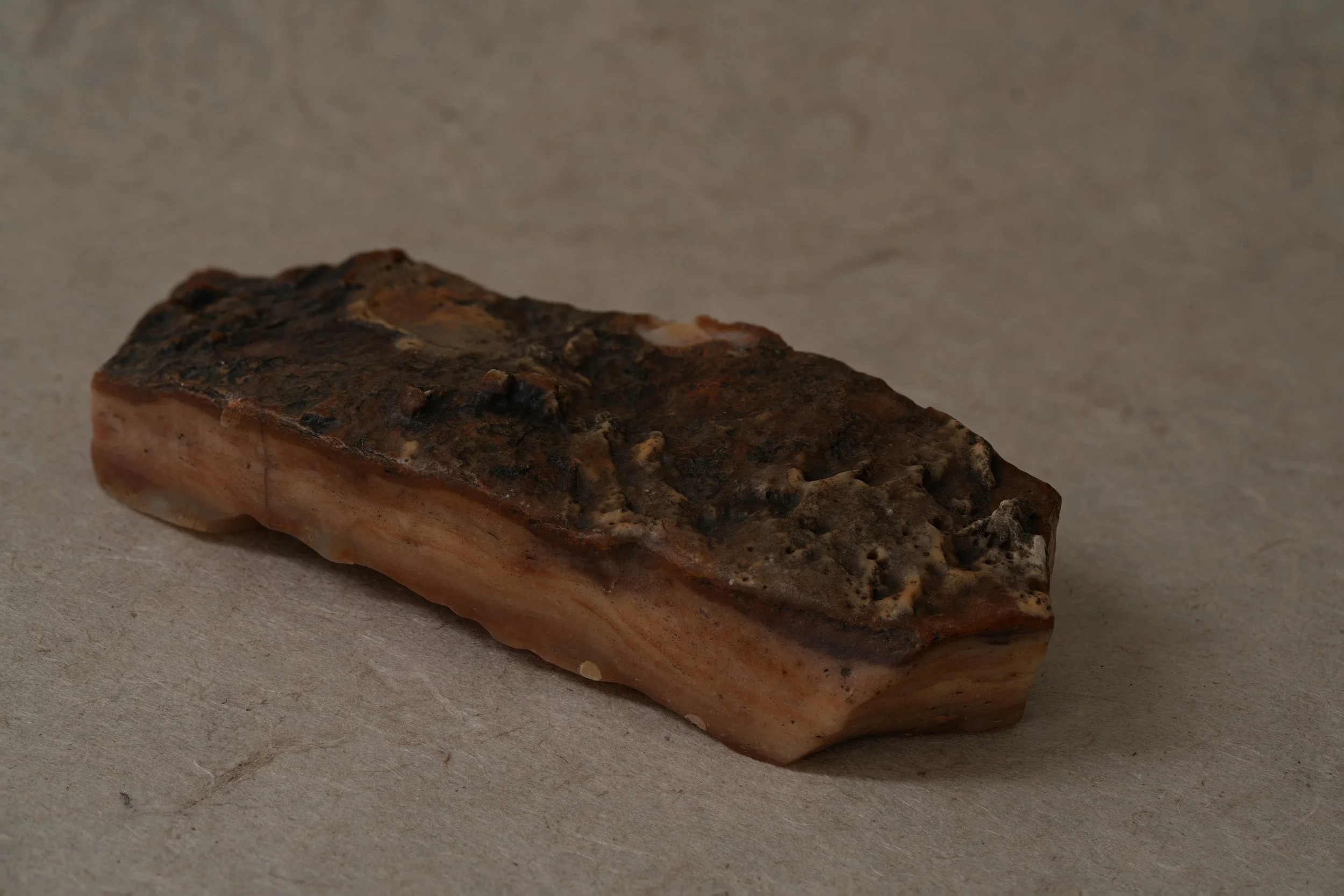 A piece of cooked salmon fillet with a browned, crispy crust on top, placed on a plain light-colored surface.