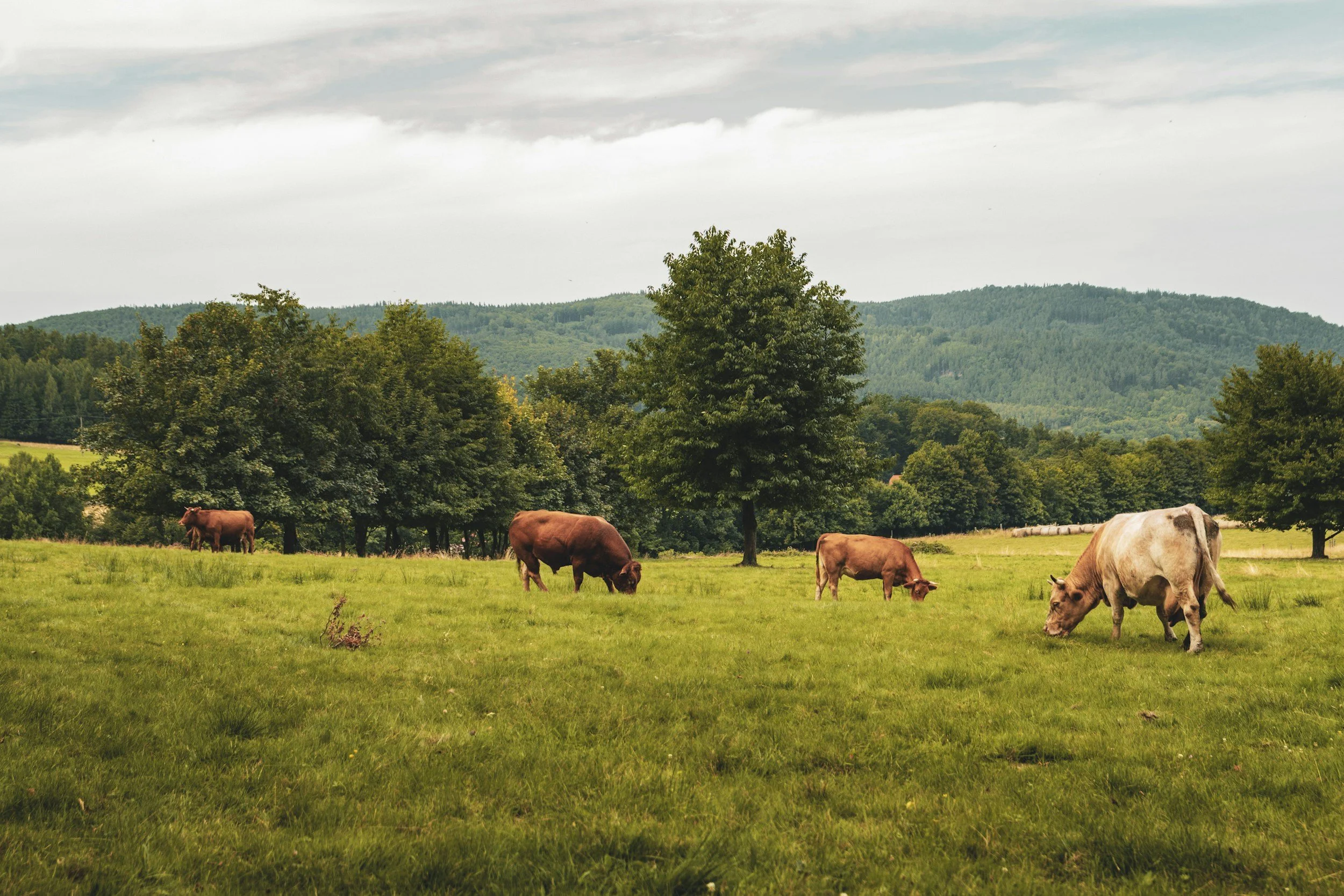 Webinar: Utah Department of Agriculture and Food Land Conservation Roundtable