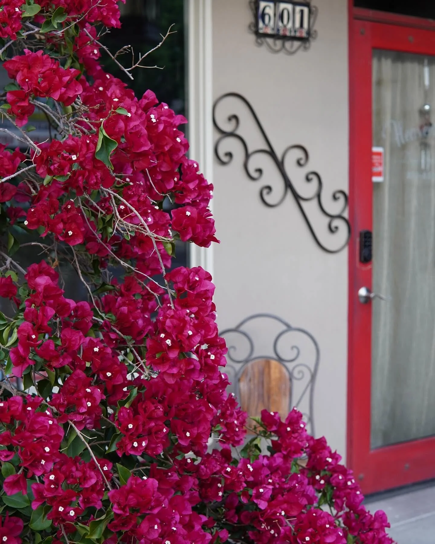 Bright pink bougainvillea flowers in front of a house with a red door and house numbers '6010' on a decorative plaque.