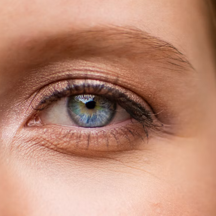 Close-up of a woman's face showing her brown eye, eyebrow, and surrounding skin with freckles and fine details.