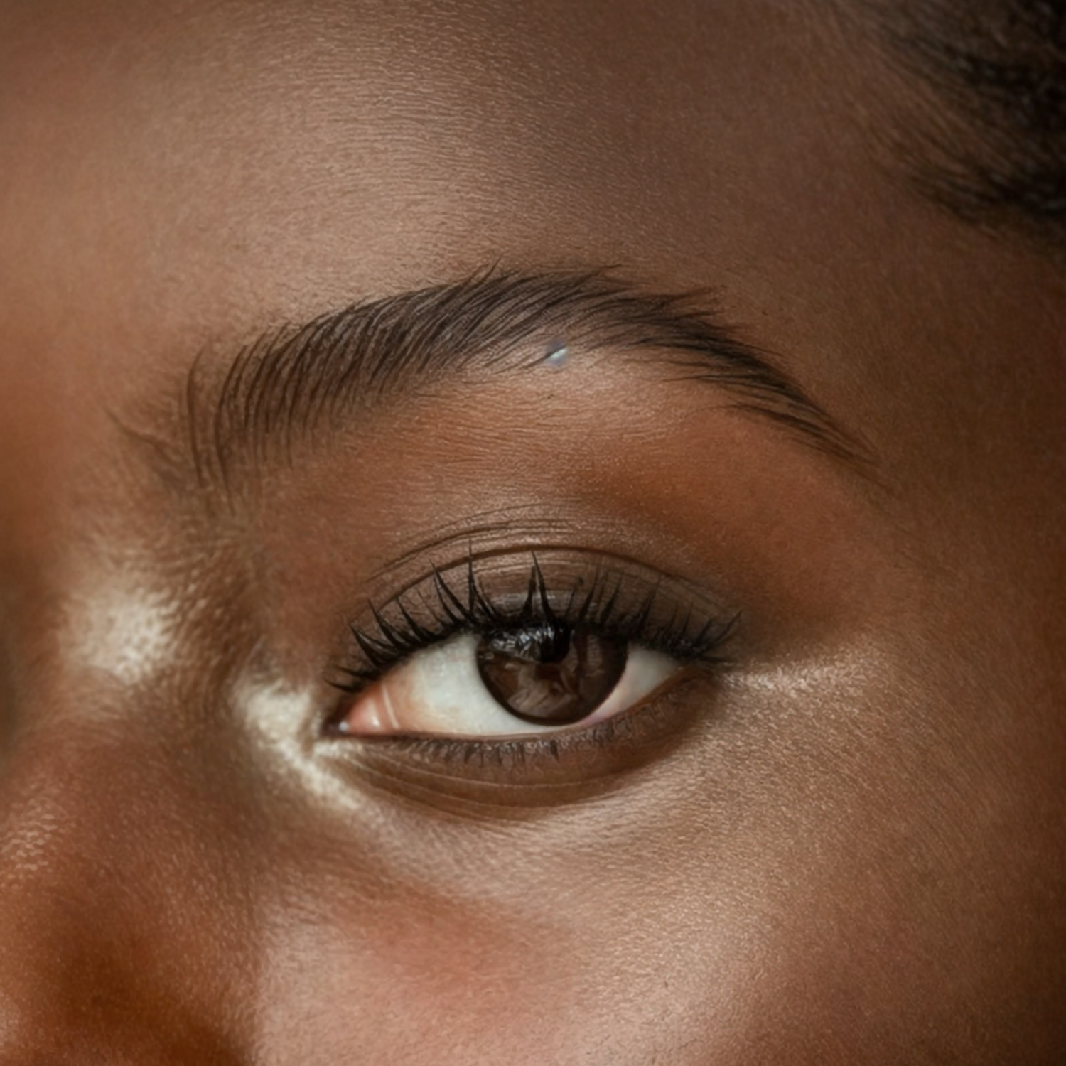 Close-up of a person's eye, showing brown iris, black eyelashes, and well-groomed eyebrow.