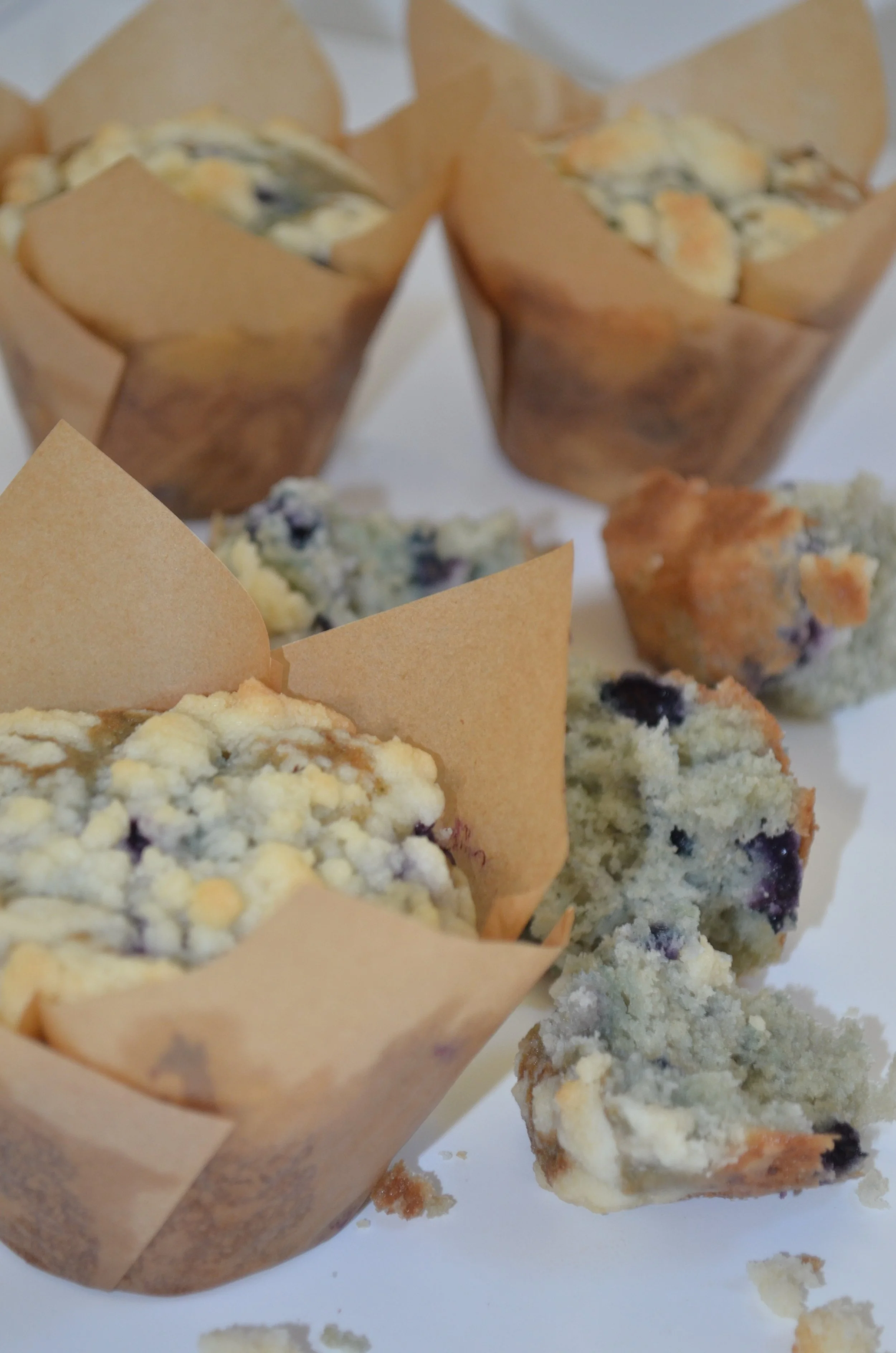 Protein Sourdough Blueberry Muffins