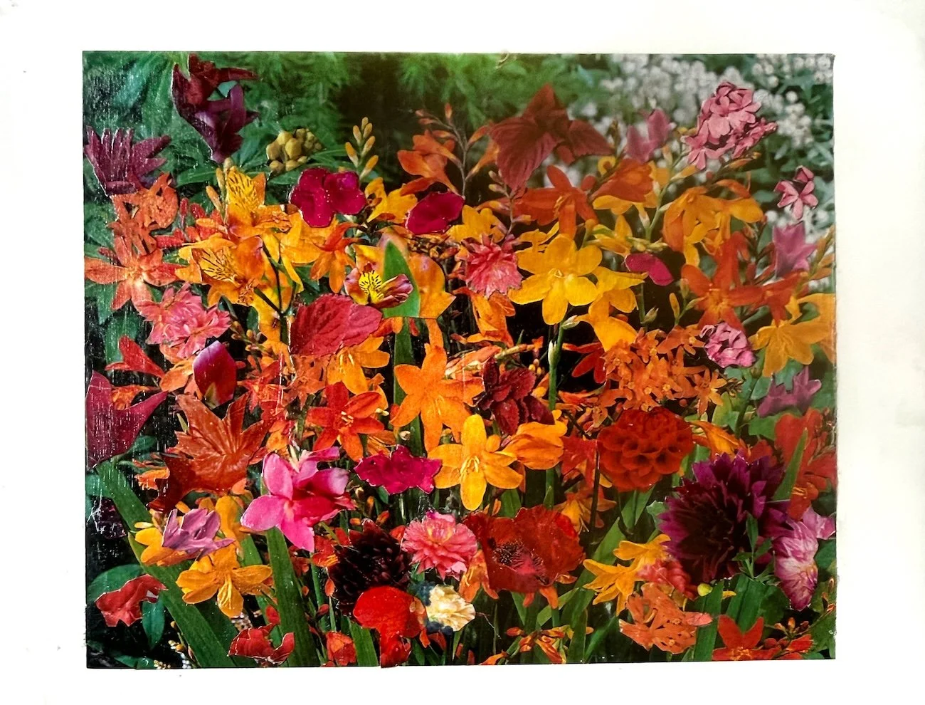 "August Garden Fantasy". Donna Arking. 2025. 6"x8" collage painting on ceramic tile.