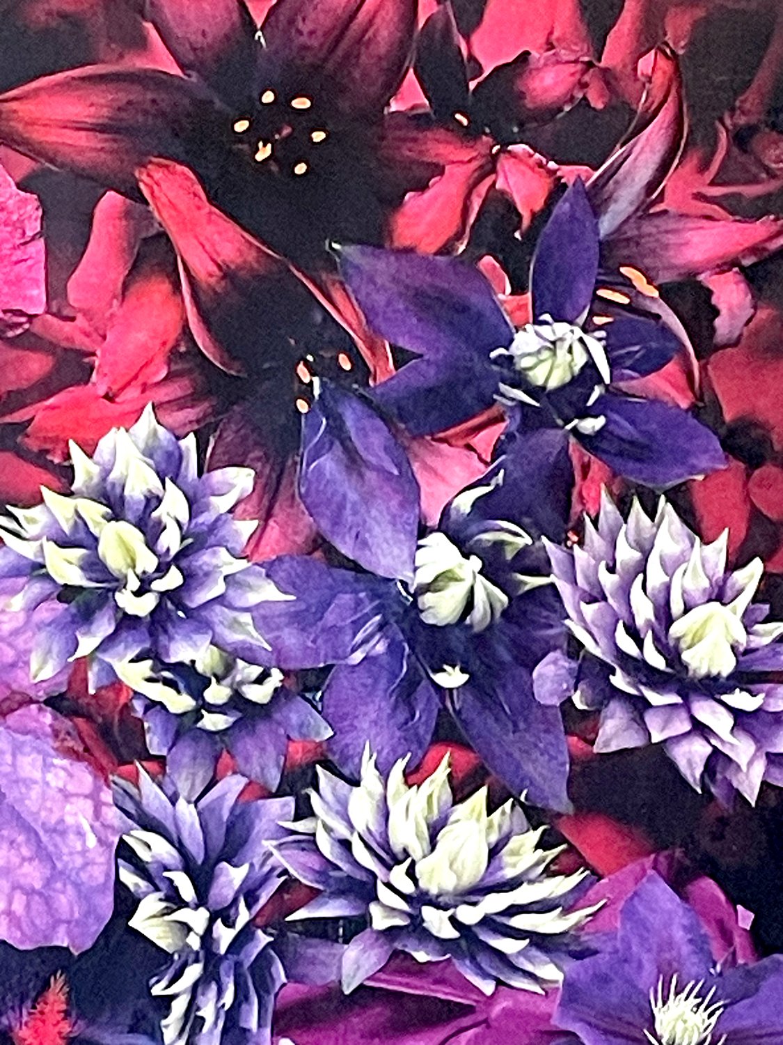 “The Flowers: Violet, Scarlet, Off White.  (about 8 x 10”).   Detail #5 of “Colors Hummingbirds Love.”  2025.