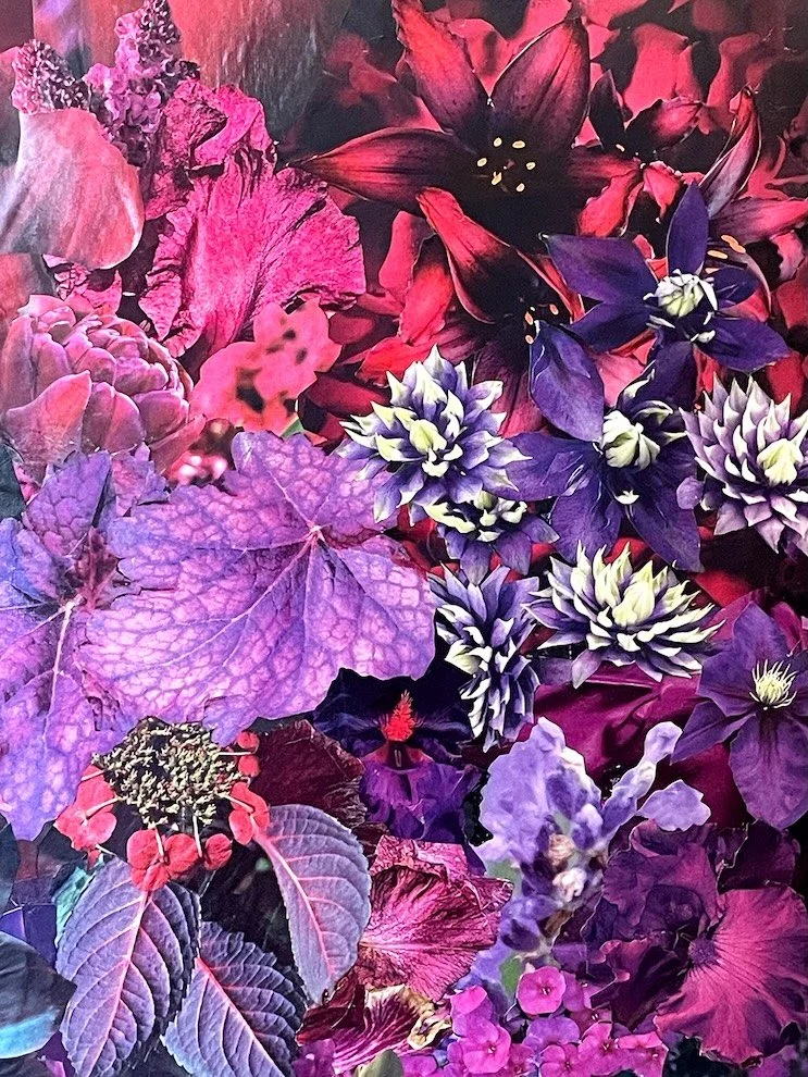 “The Flowers: Violet, Magenta, Scarlet, Pale Yellow.  (about 8 x10”).  Detail # 2 of “Colors Hummingbirds Love.”  2025.