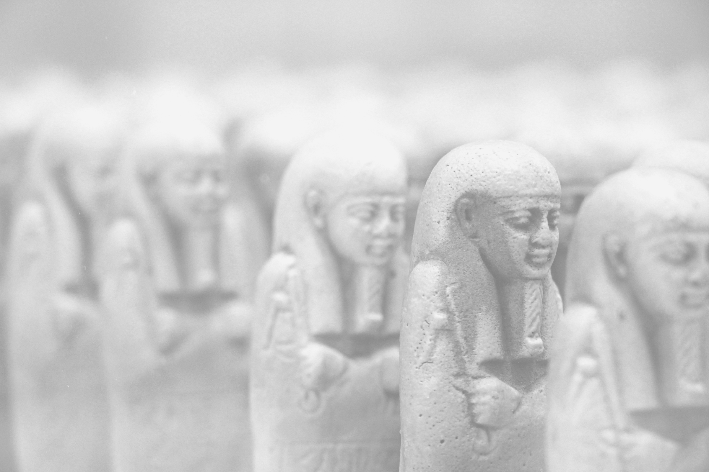 Overview of a river with multiple meanders.