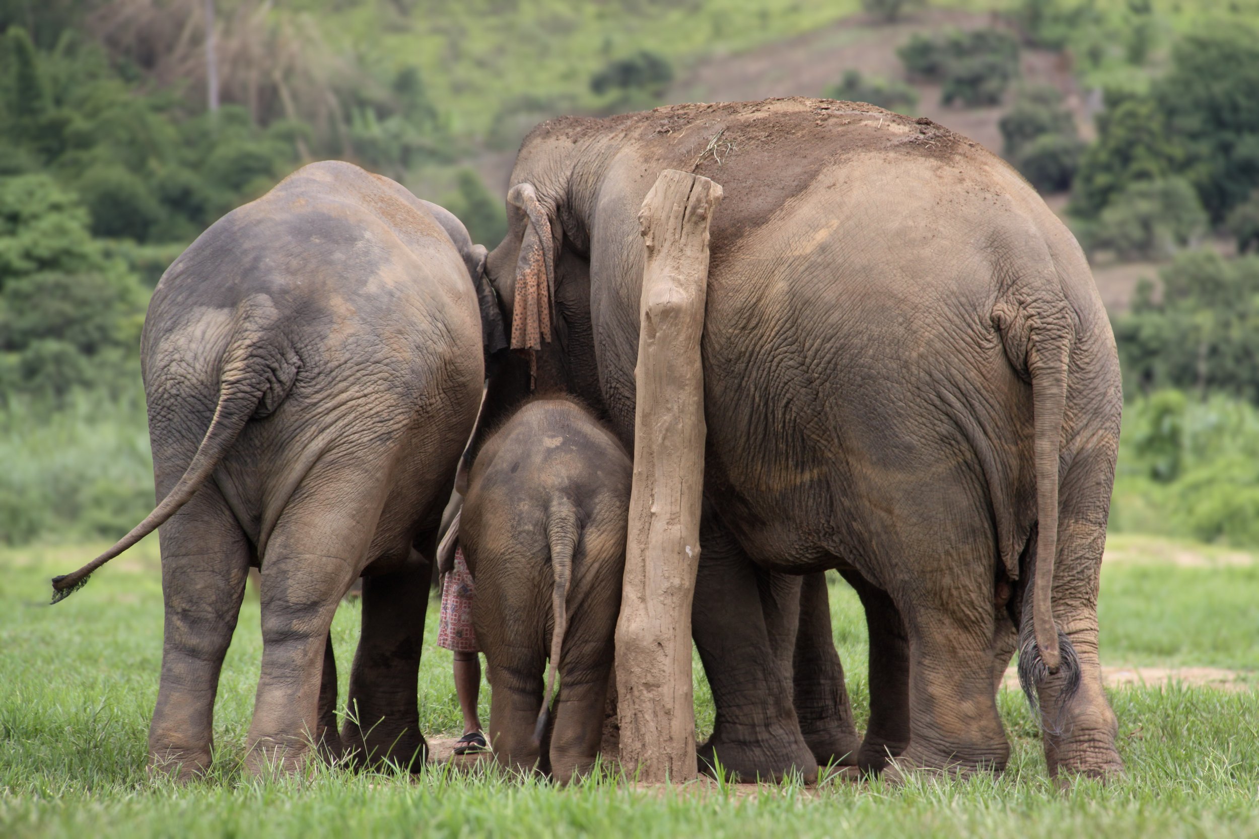 elisabeth pictures 474.jpg