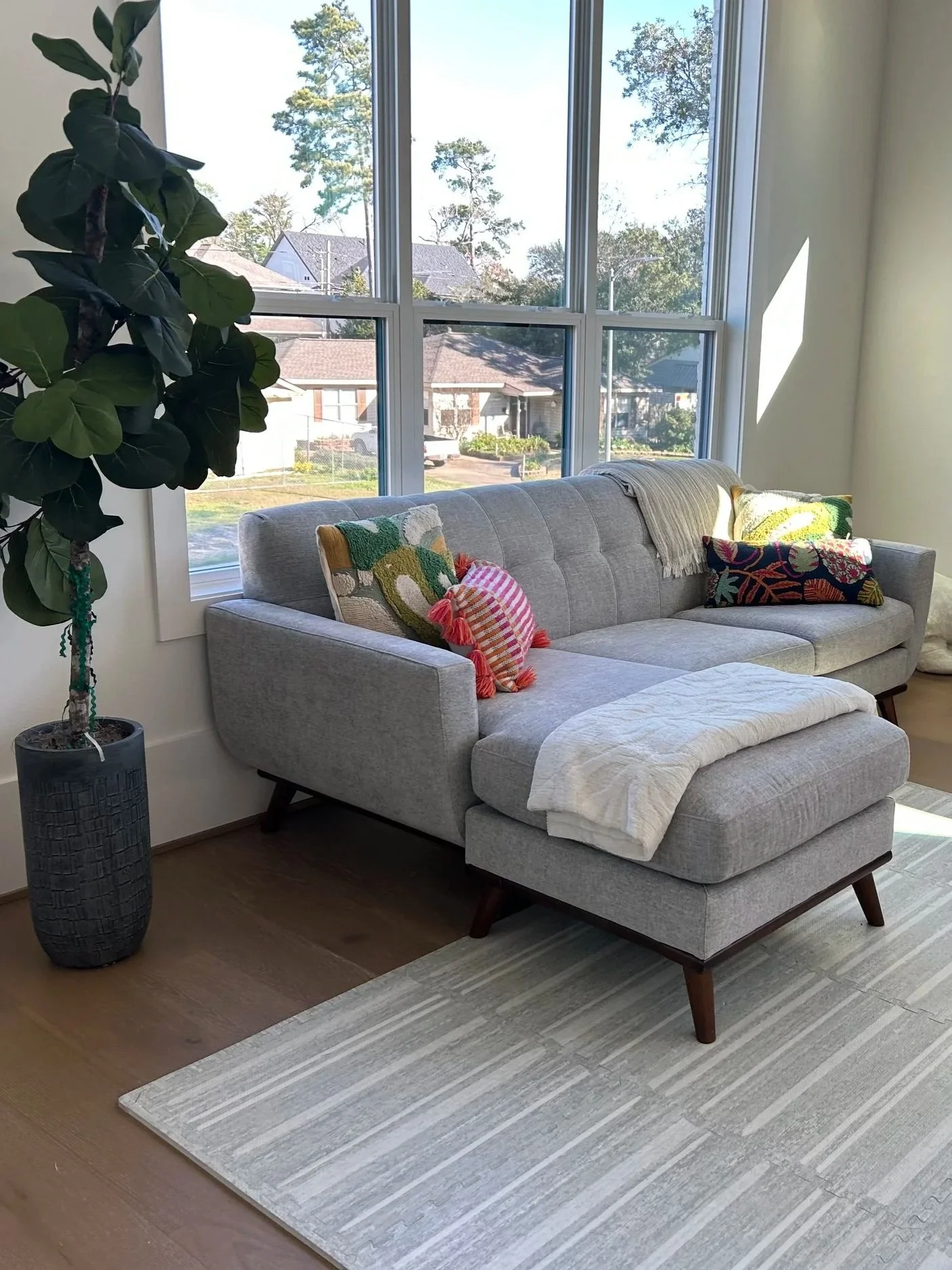 Newly Set up and unpacked living room with plant and sofa