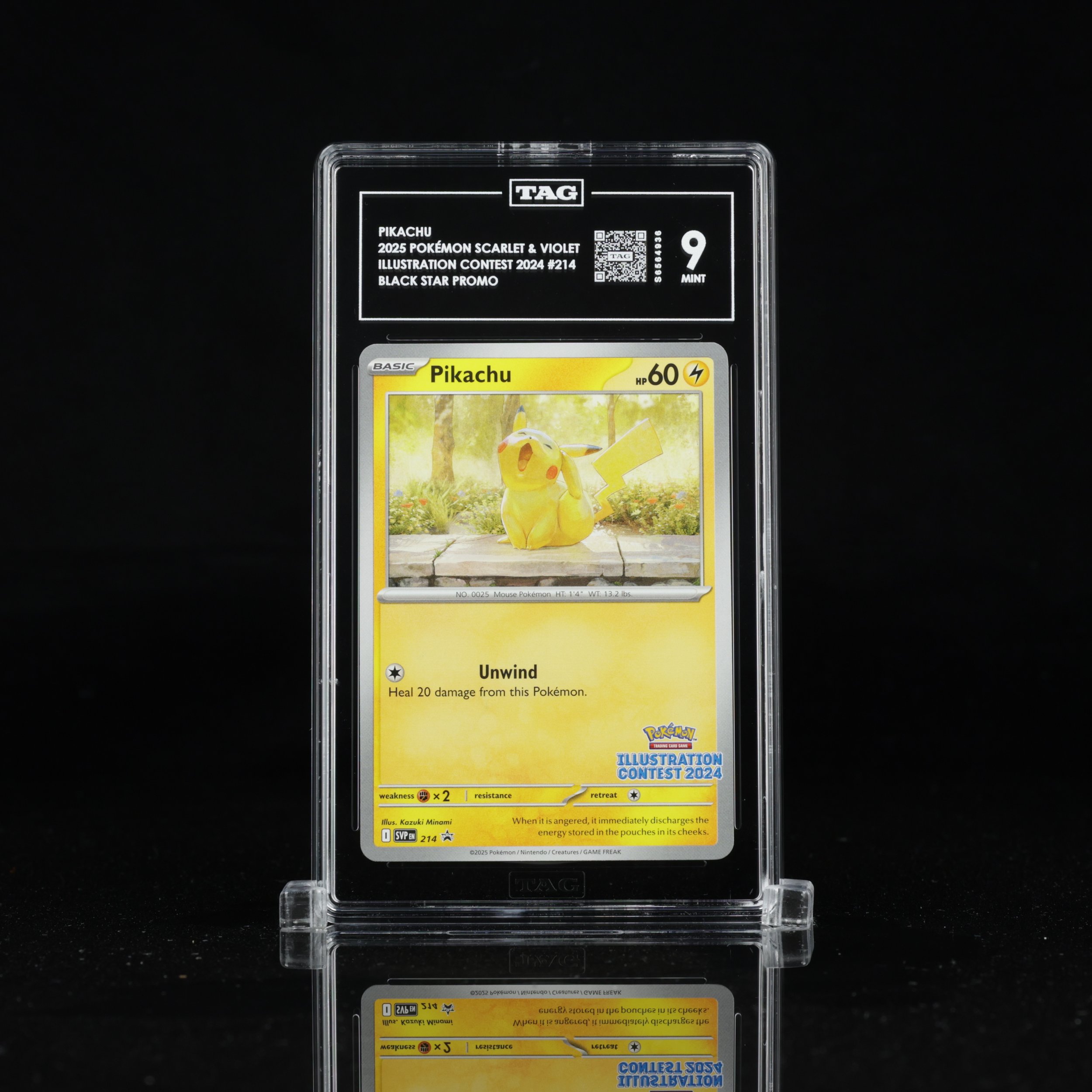 Pikachu 214, Black Star Promo, TAG Mint 9