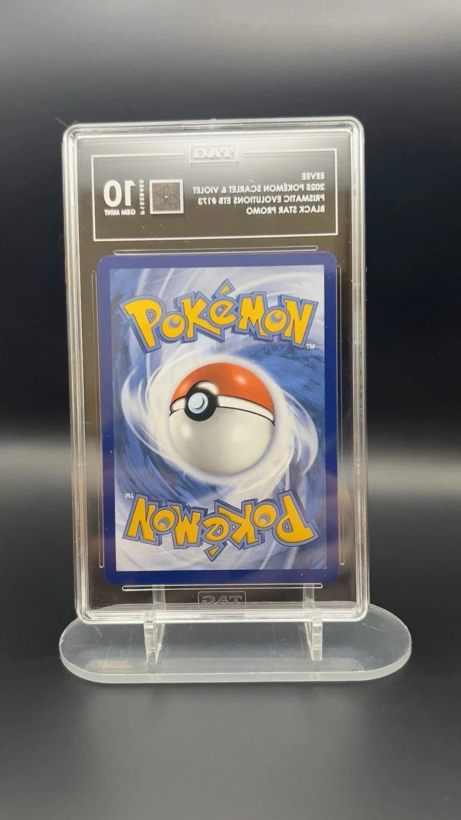 Eevee tag 10 back.webp