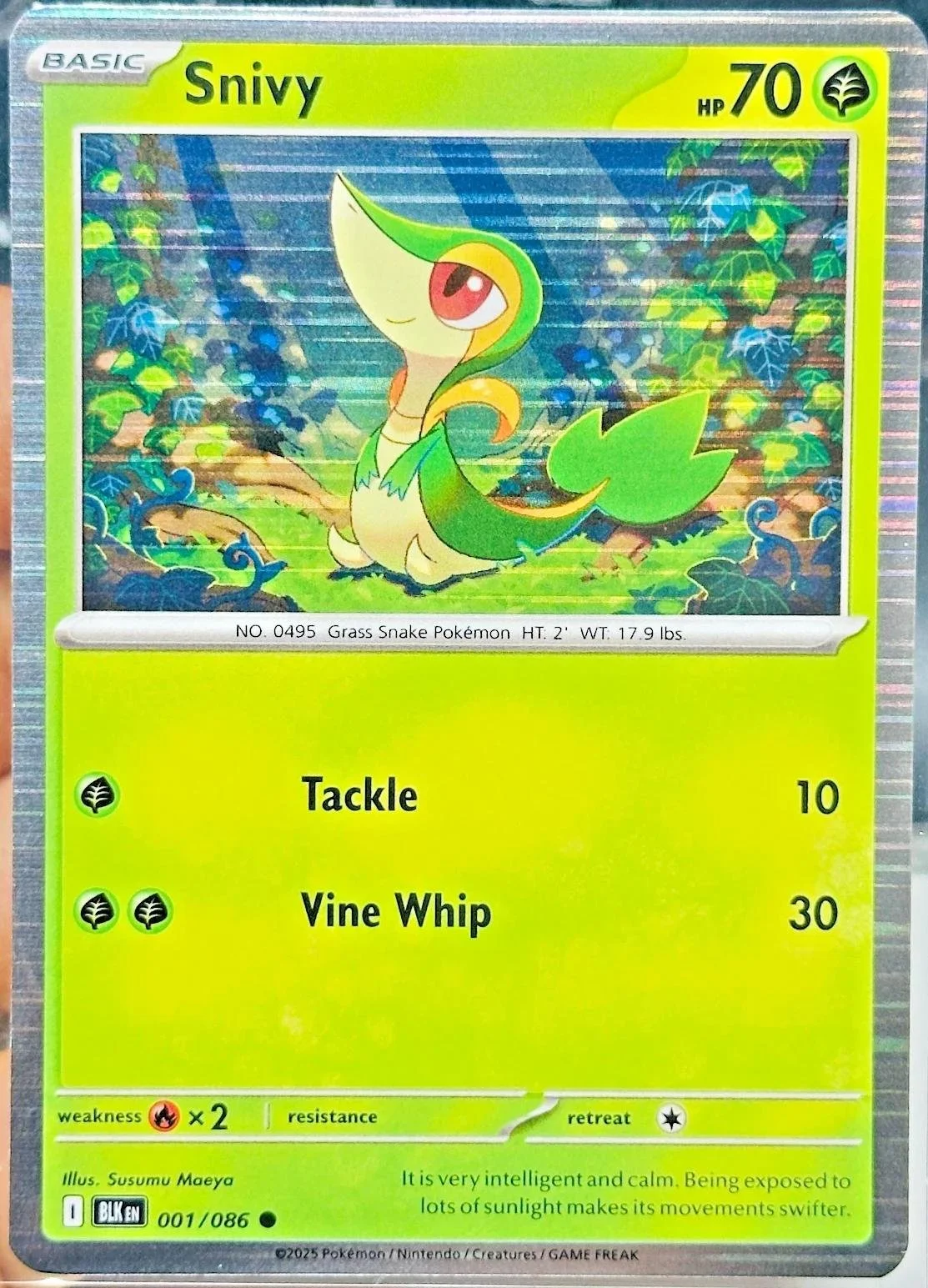 Snivy 001/086 Poster Holo