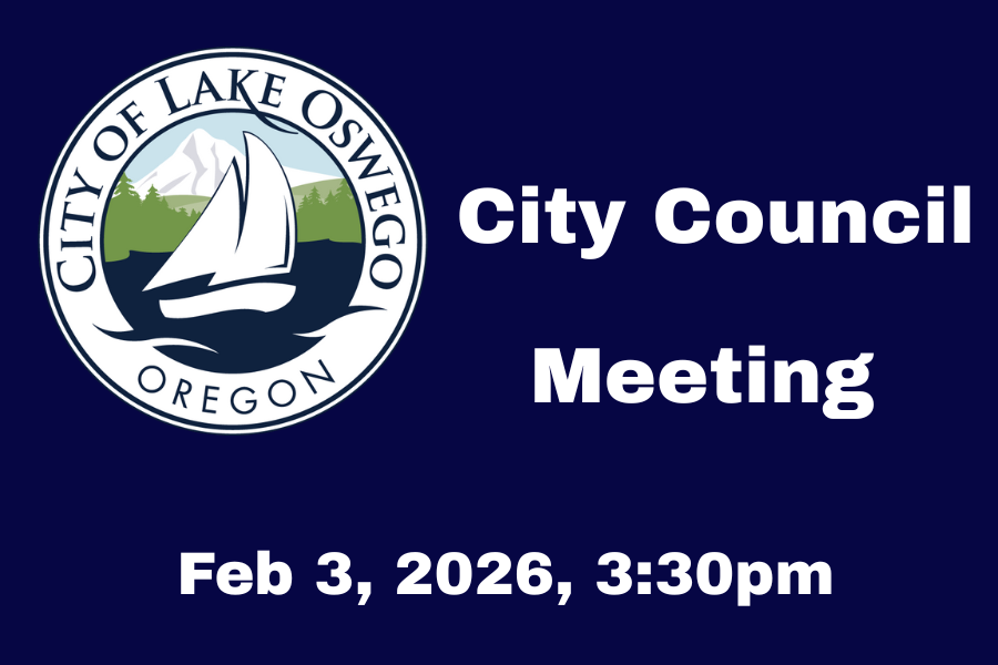 City Council Meeting