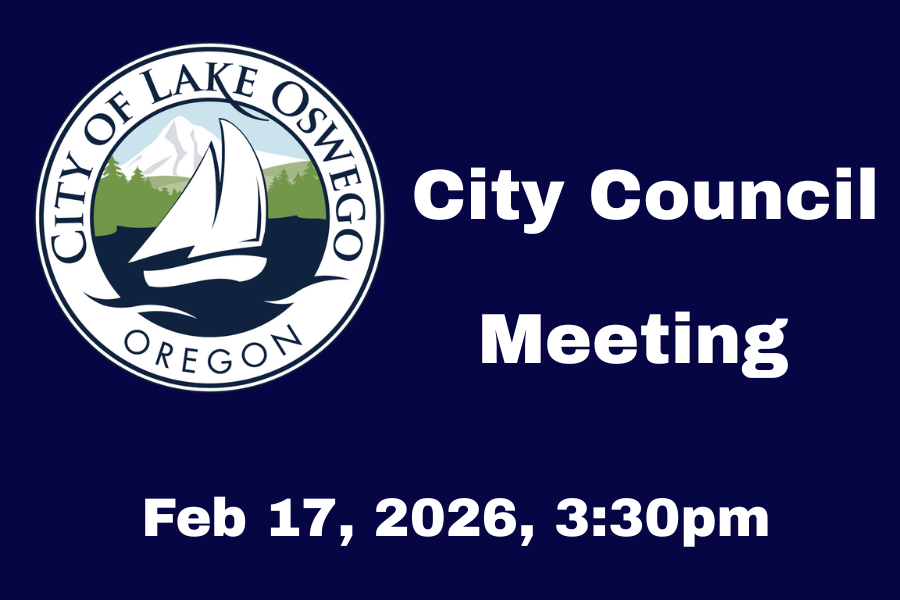 City Council Meeting 