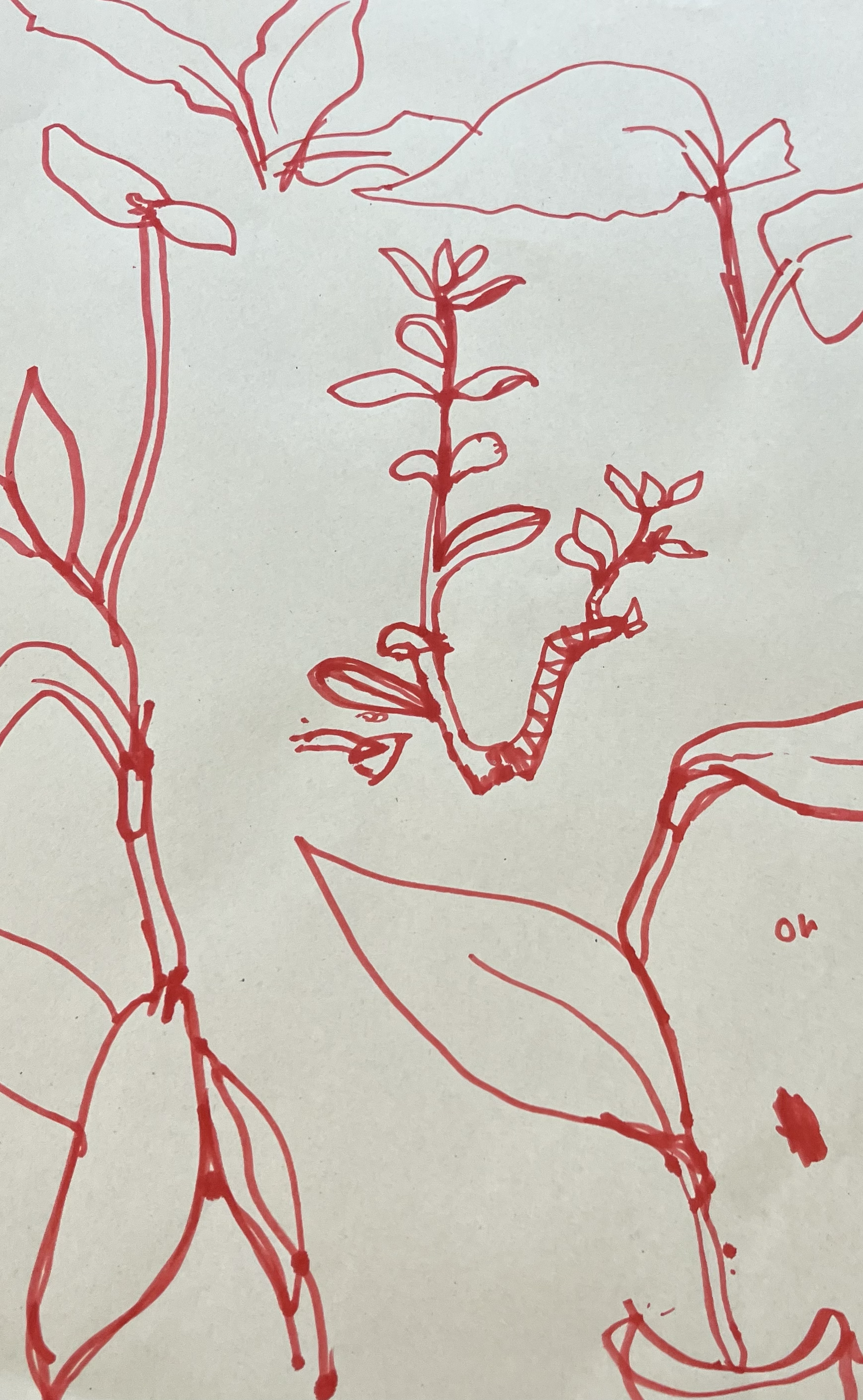 #407