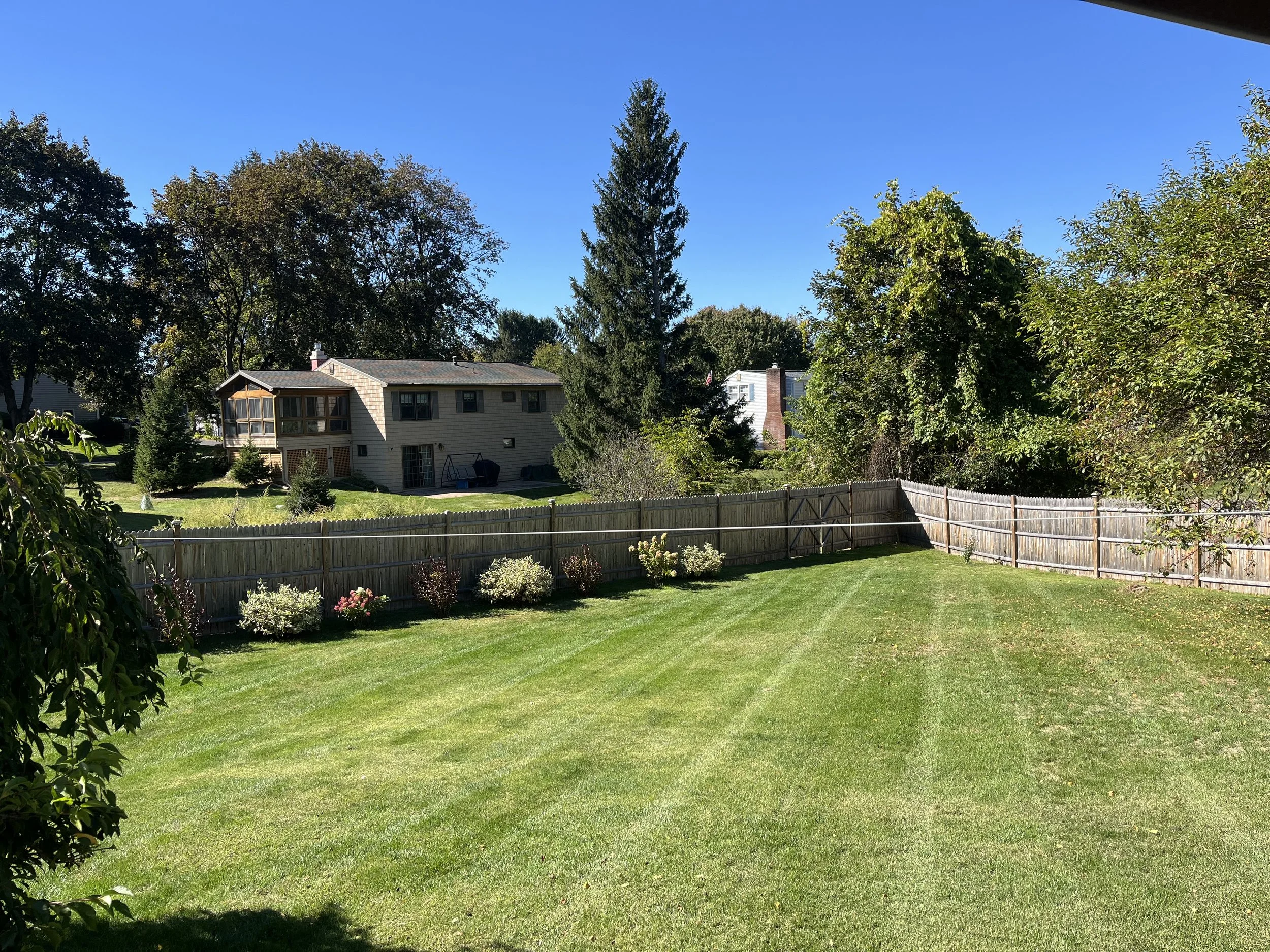 A spacious backyard with a well-maintained green lawn, flower bushes along the wooden fence, and tall trees, with a two-story house visible in the background under a clear blue sky.