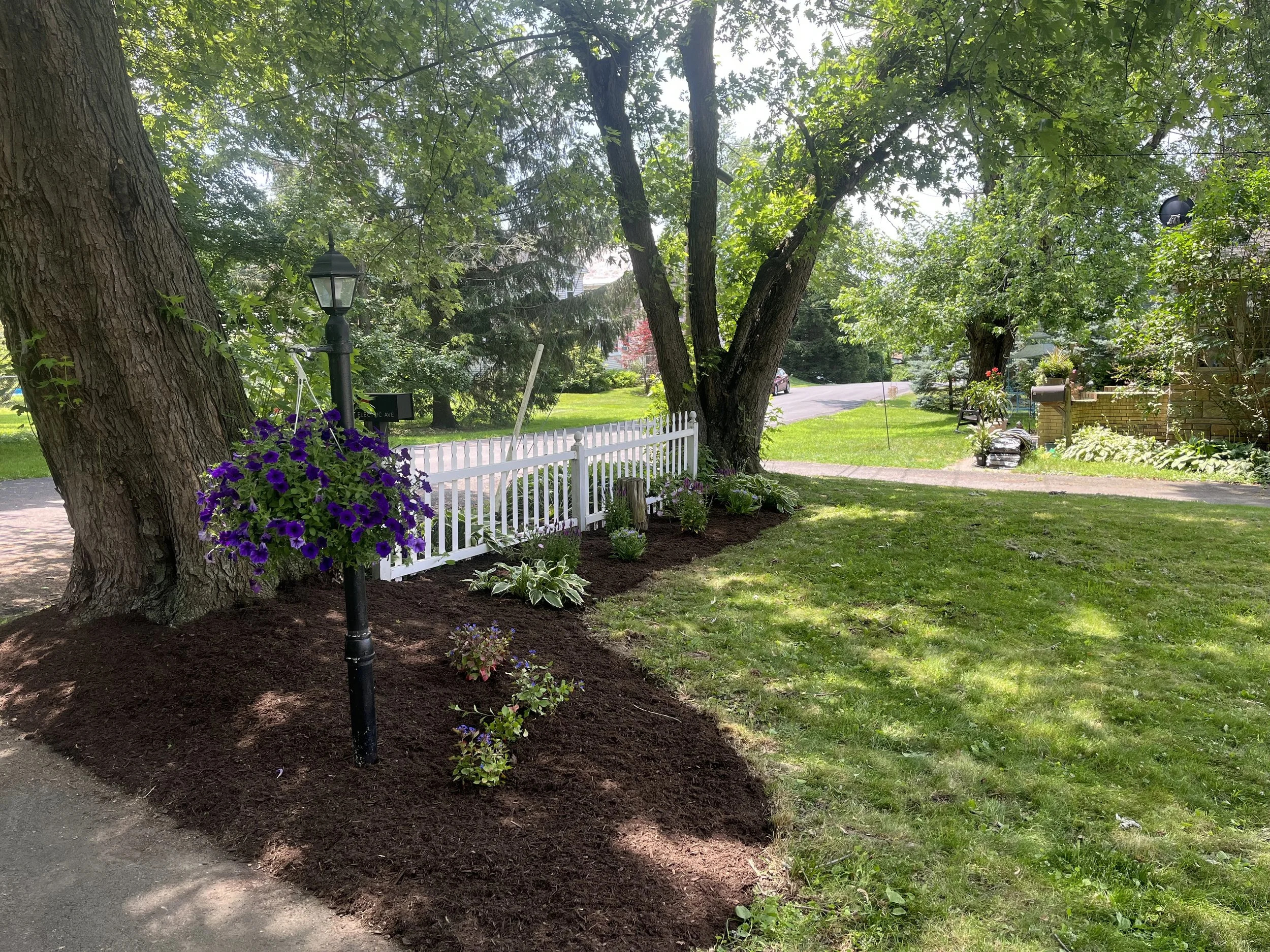 A landscaped front yard with large trees, a white picket fence, a lamp post with purple hanging flowers, and a garden bed with various plants and flowers, on a sunny day.