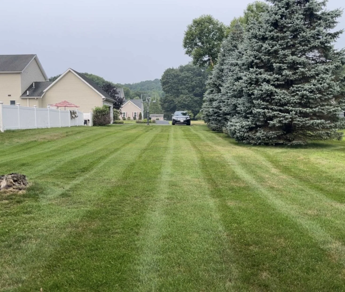 A well-maintained green lawn with visible mowing stripes, bordered by trees on the right, houses and a white fence on the left, and a car and basketball hoop in the distance under a cloudy sky.