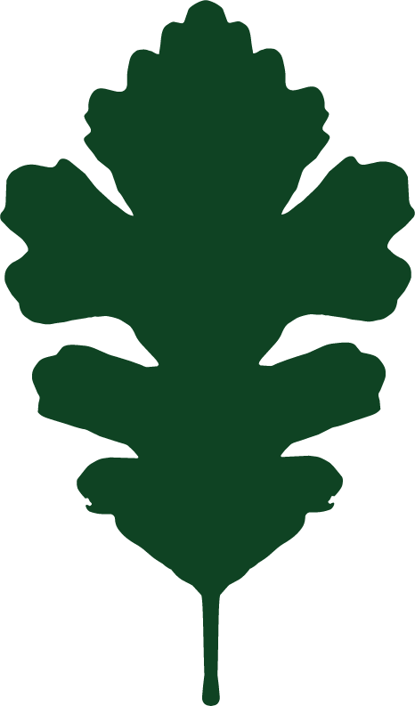 Holder Land Management logo. Silhouette of a green oak leaf.