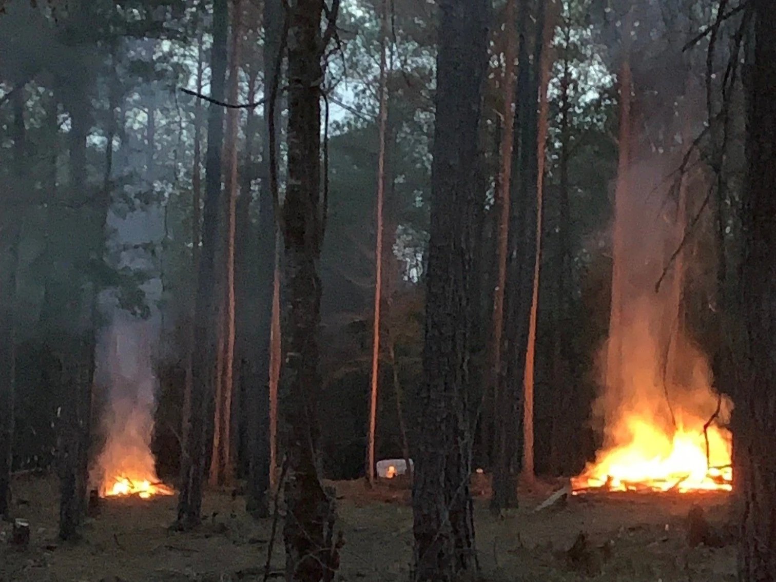 Burn+Piles.jpg