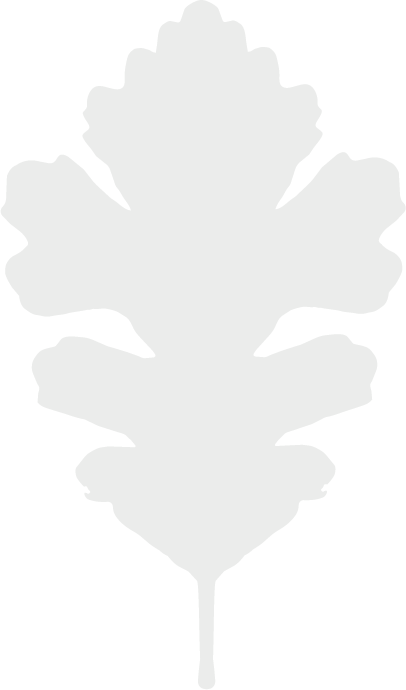 Holder Land Management logo. Silhouette of a symmetrical leaf with multiple lobes against a black background.