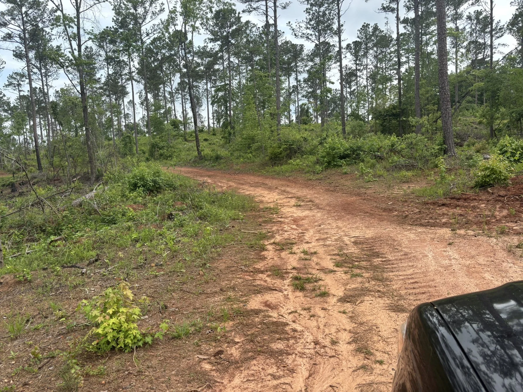 Fire Break & Road Maintenance
