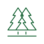 A green icon of two pine trees on a landscape representing professional forestry mulching services.