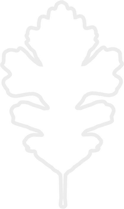 Holder Land Management logo. Outline of a leaf with a symmetrical, jagged edge design on a black background.