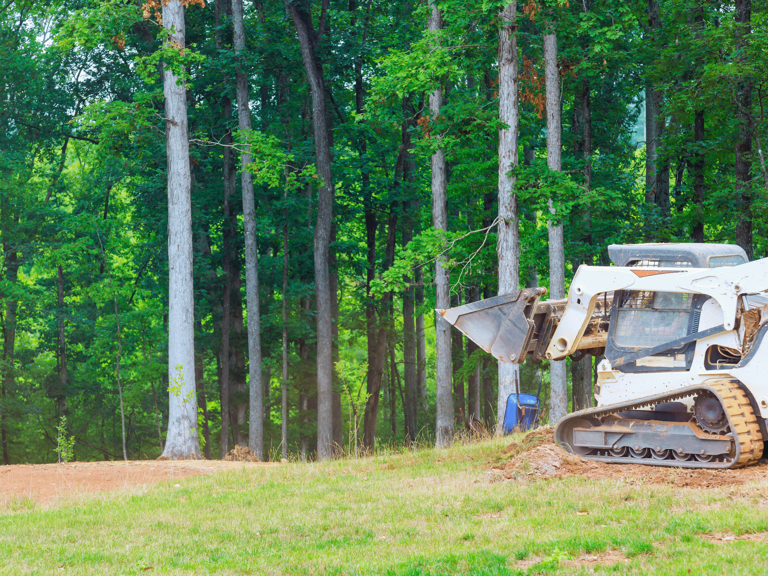 A small bulldozer on dirt and grass in front of a forest with tall trees and green leaves.