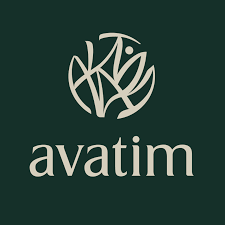 Logotipo com símbolo estilizado e a palavra 'avatim'