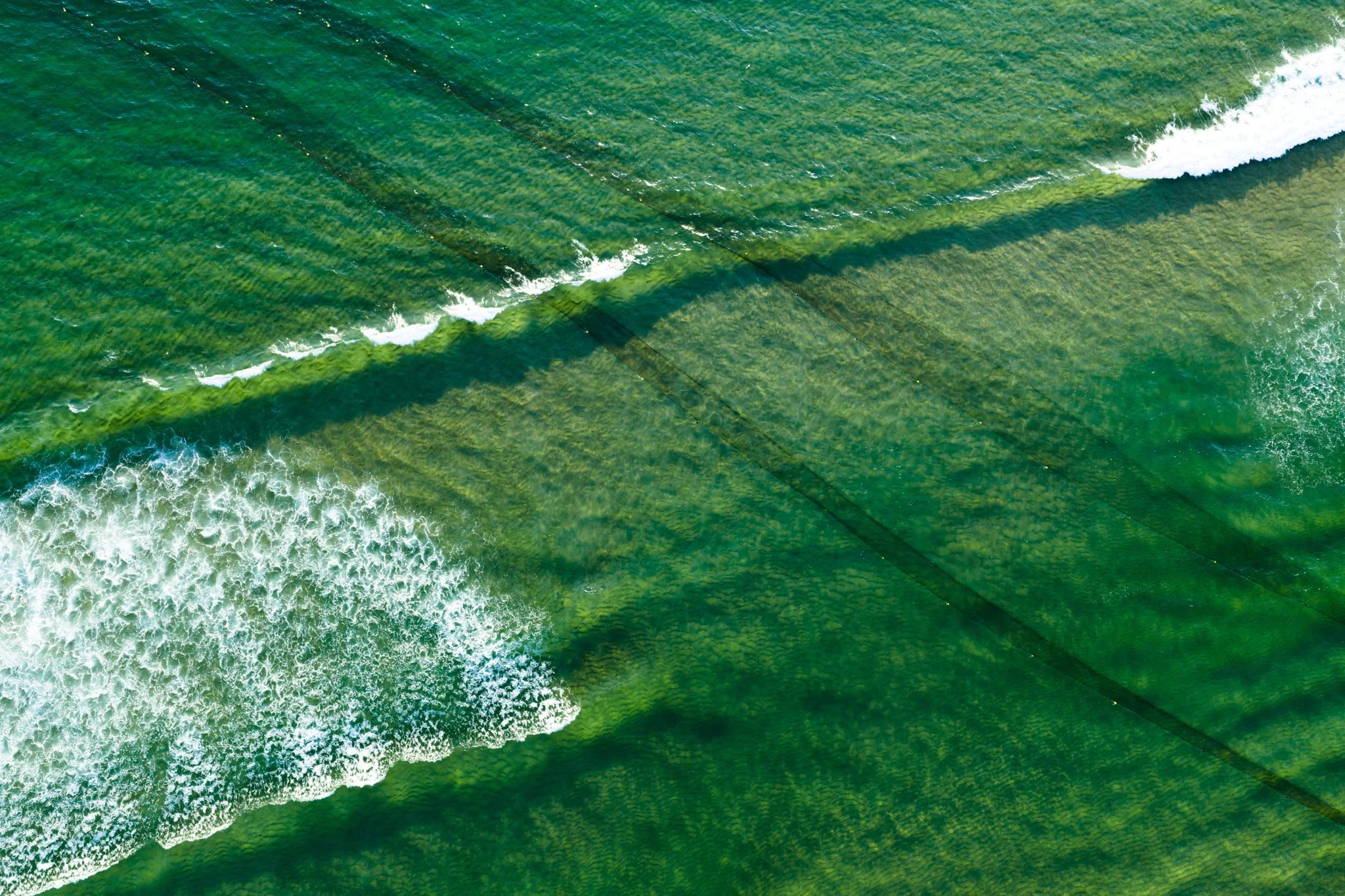 DJI_20250924184851_0504_D.jpg