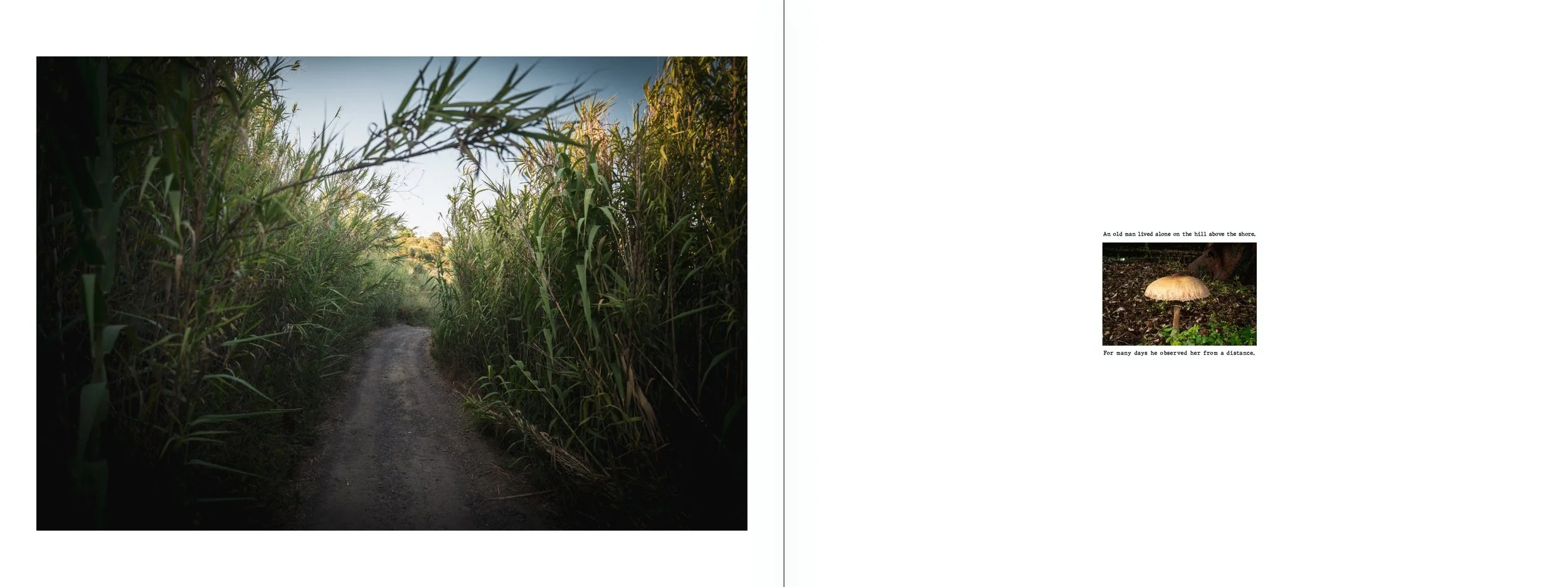 New Naritives_Michael Rupp_ Final_Submission_page-0003.jpg