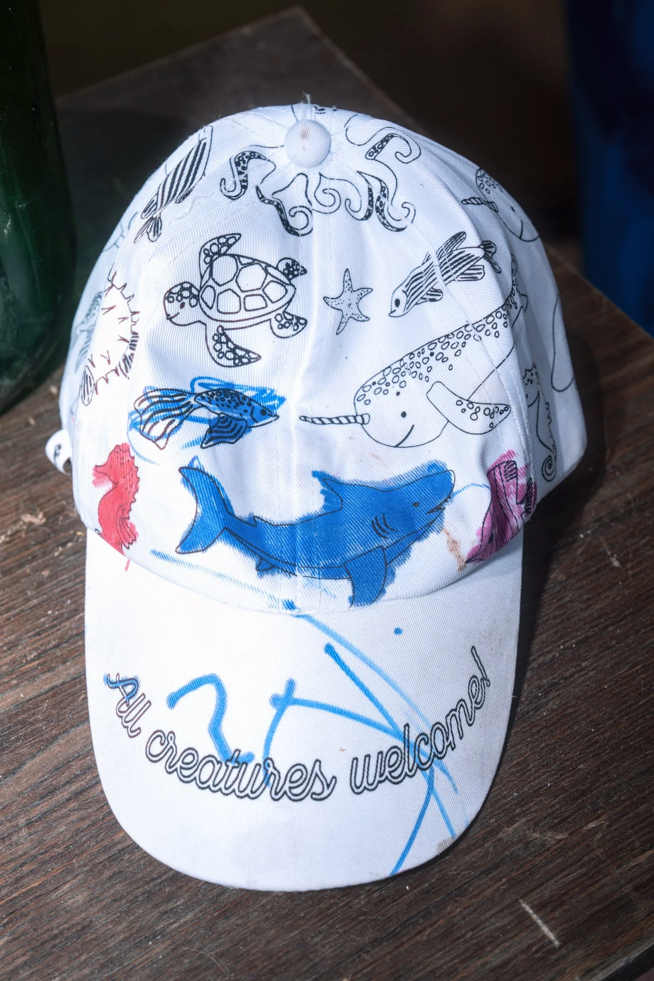 DSC09081.jpg