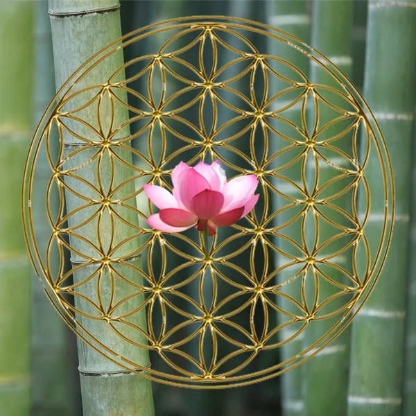 A pink lotus flower in full bloom with green bamboo stalks in the background, surrounded by an ornate golden geometric circular design.