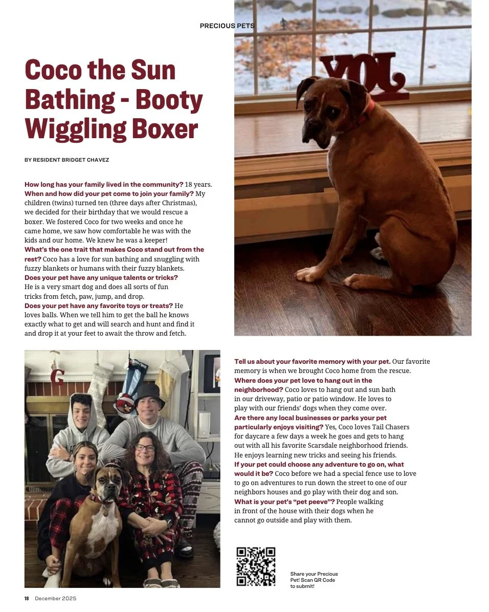 An indoor scene featuring a brown dog sitting on a wooden floor near a window with a snowy landscape outside. The dog has a red collar and is sitting next to decorative red metal letters spelling 'LOVE' on the windowsill.