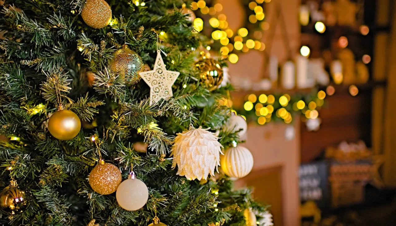 Christmas Trees of Charity at the Park Ridge Christmas Stroll